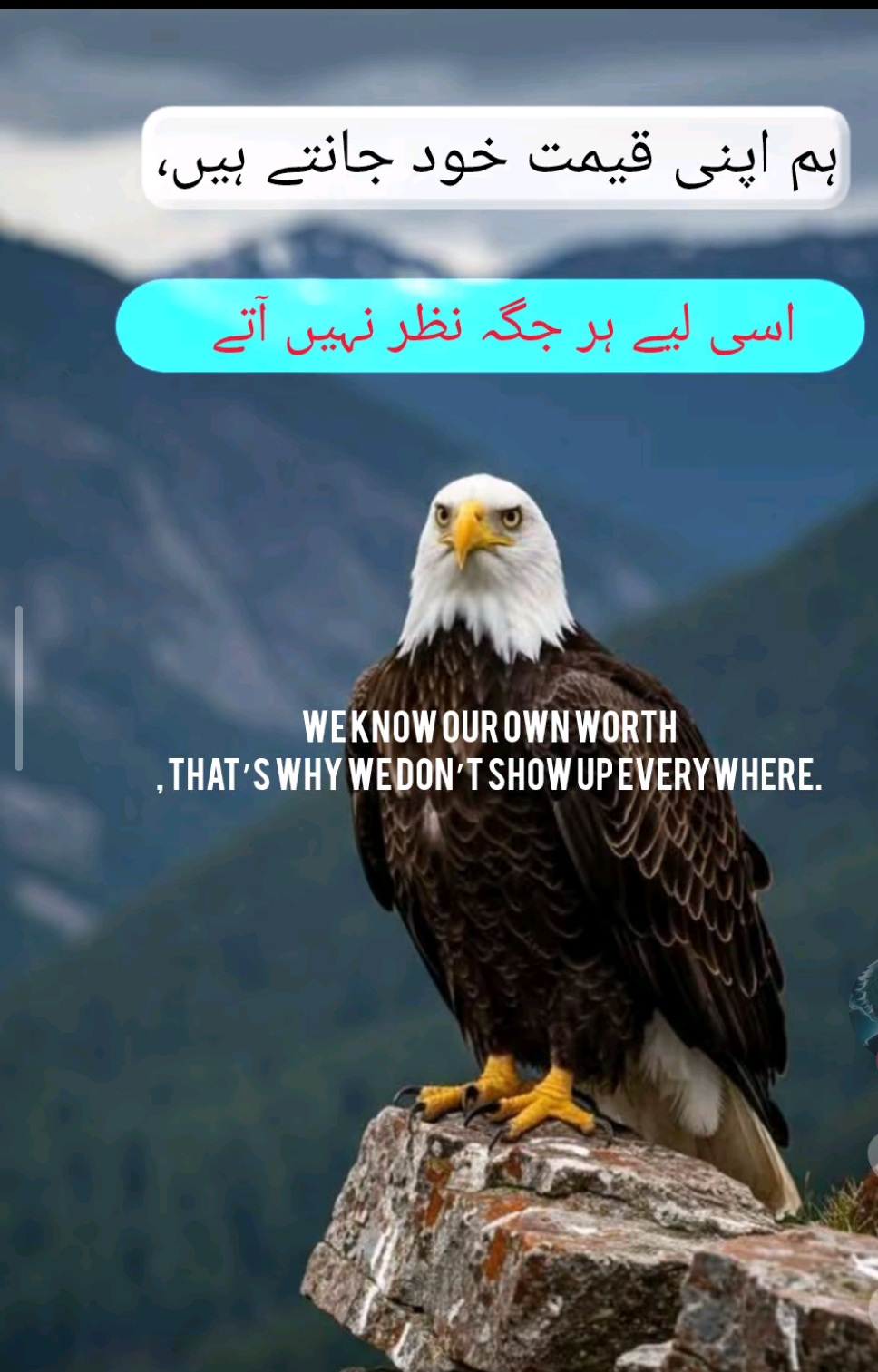 @&Scaron;p&aring;ňiśh B&oacute;y🥷🏽🦅