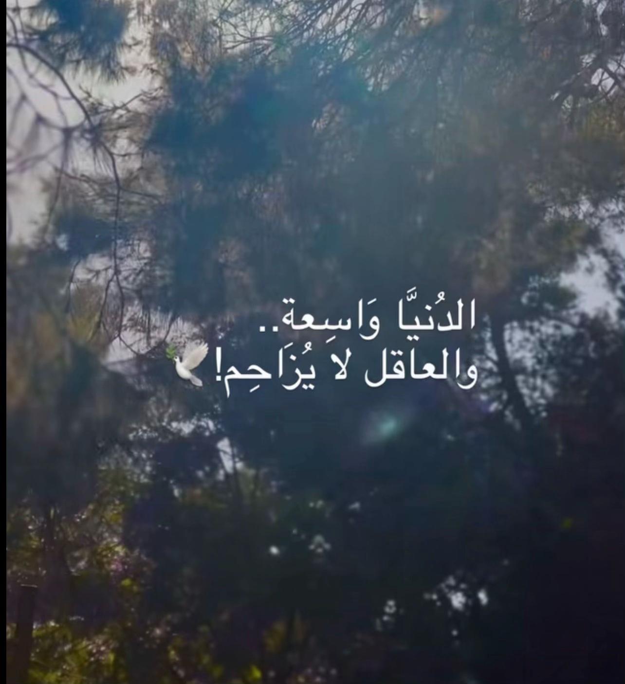 @𝒜𝓁𝒾 𝒷𝑒𝓁𝒶𝓁