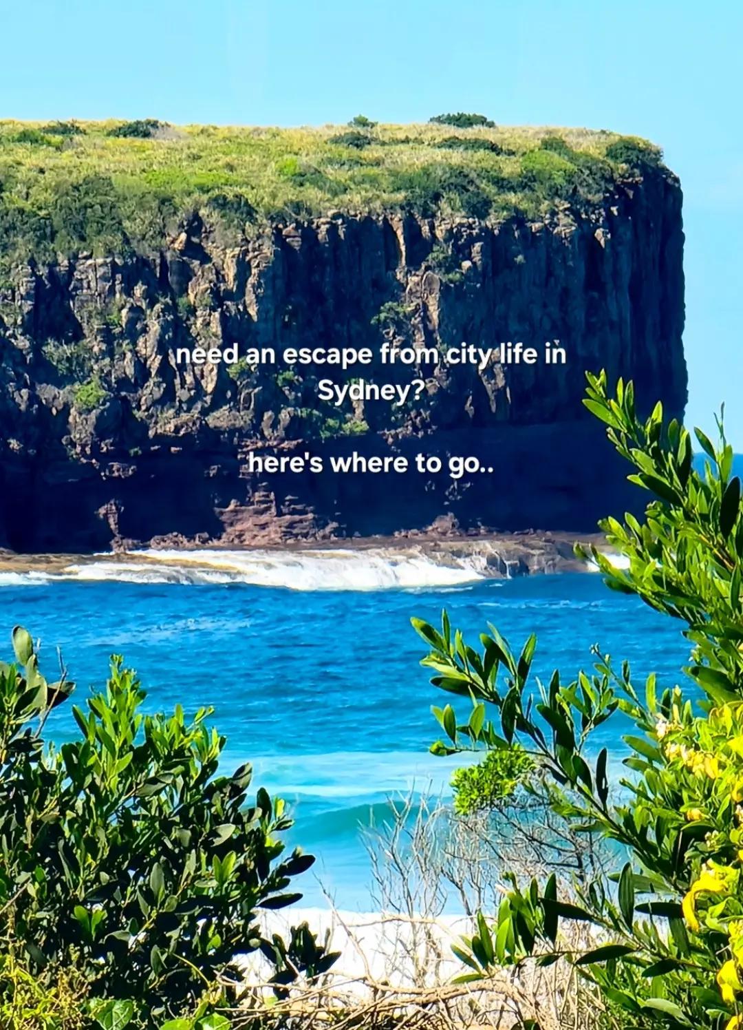 @Nature Love Australia 🌴