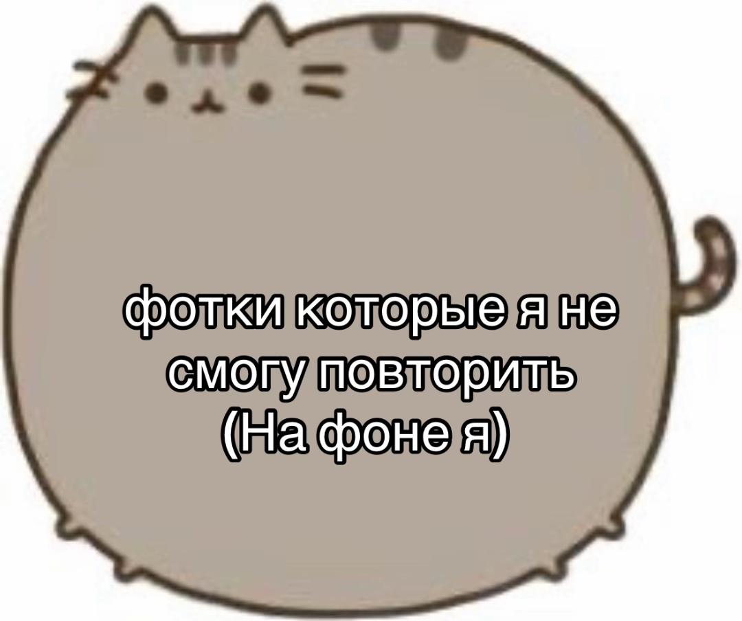 @kuit