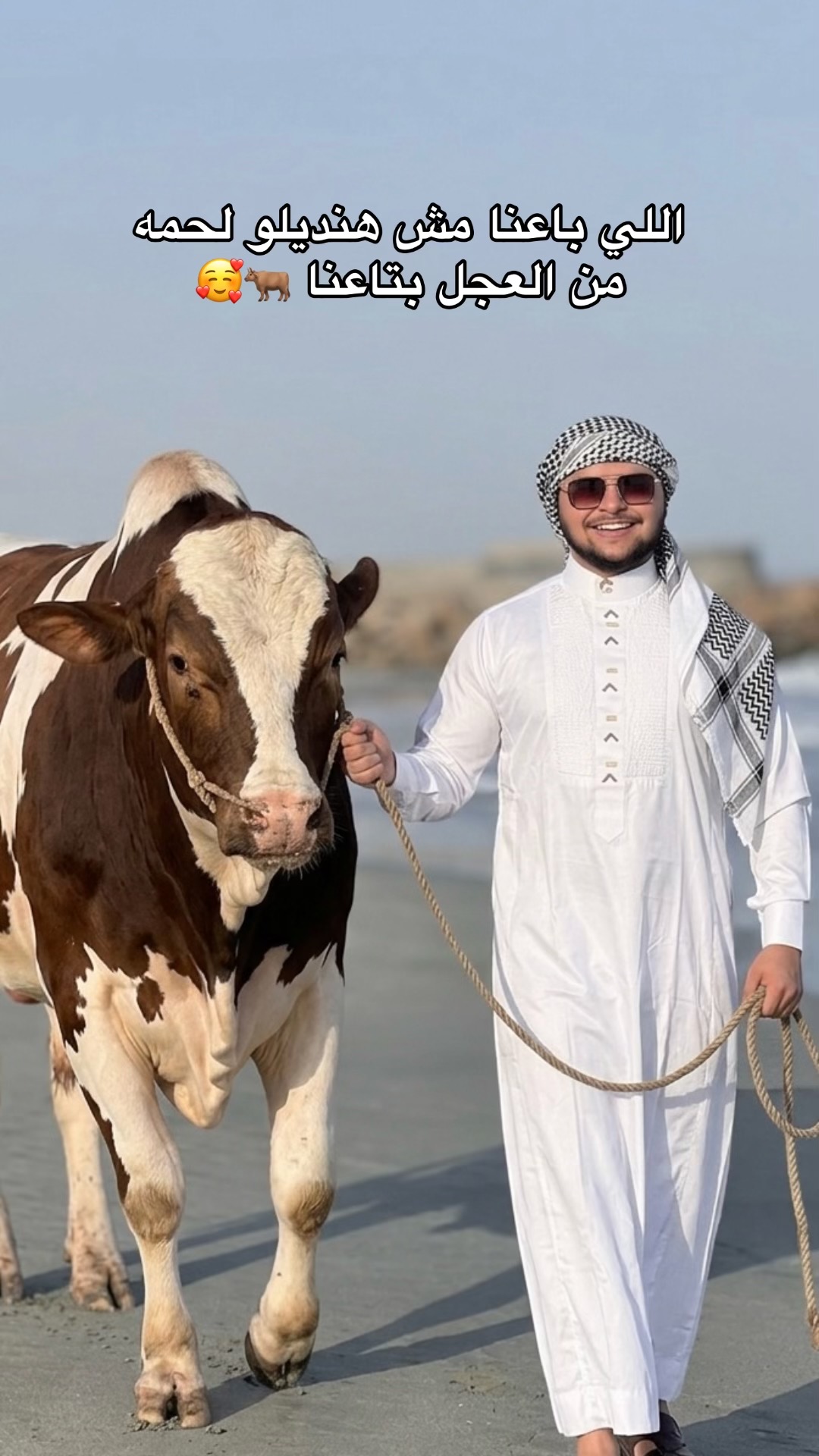 @✅❤️﮼محمد،نينو ❤️✅