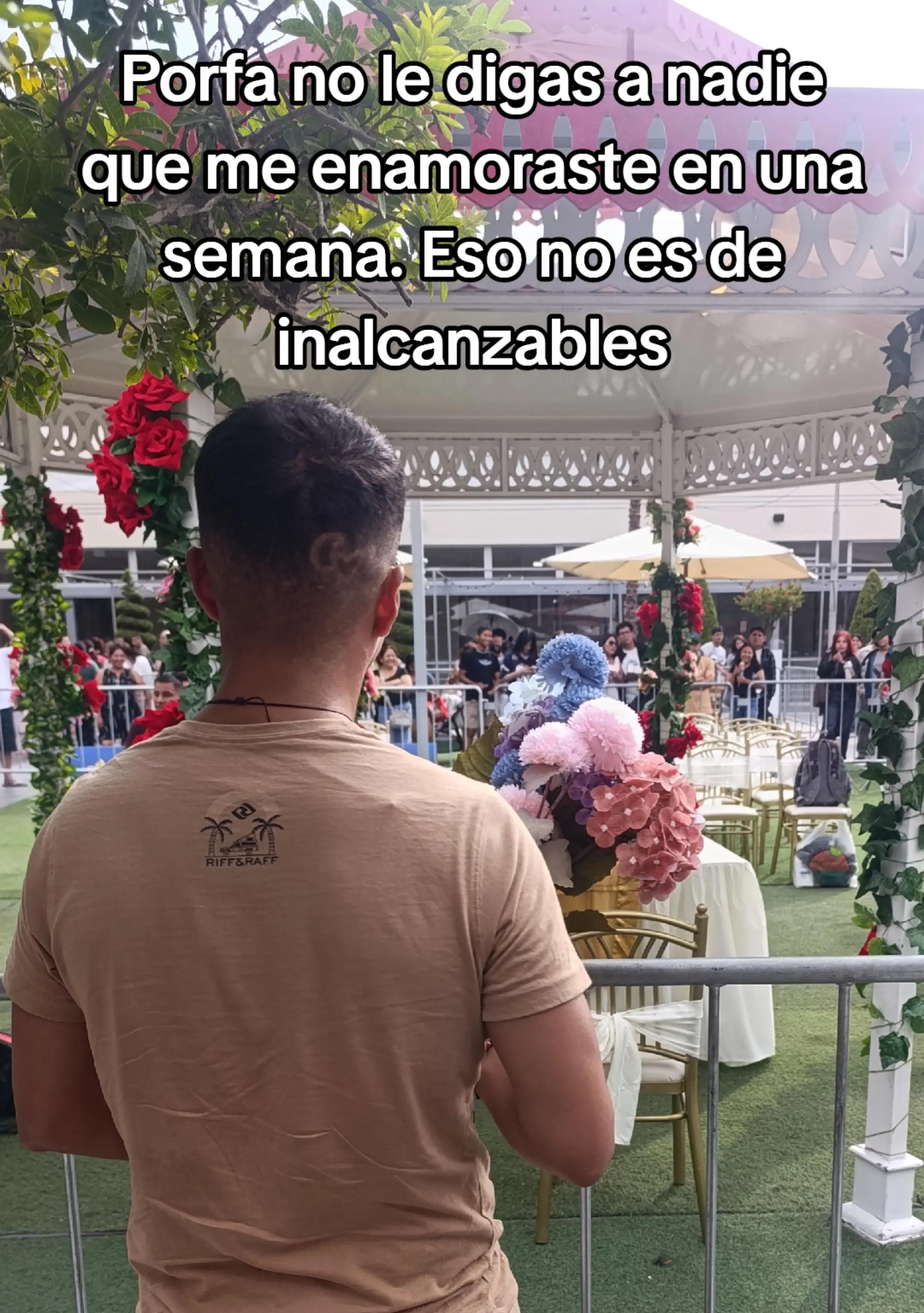 @Joe Flores Solis
