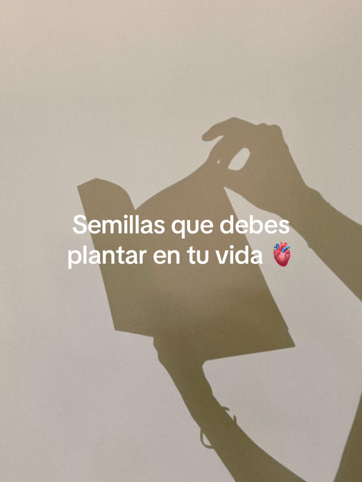@librostiktok
