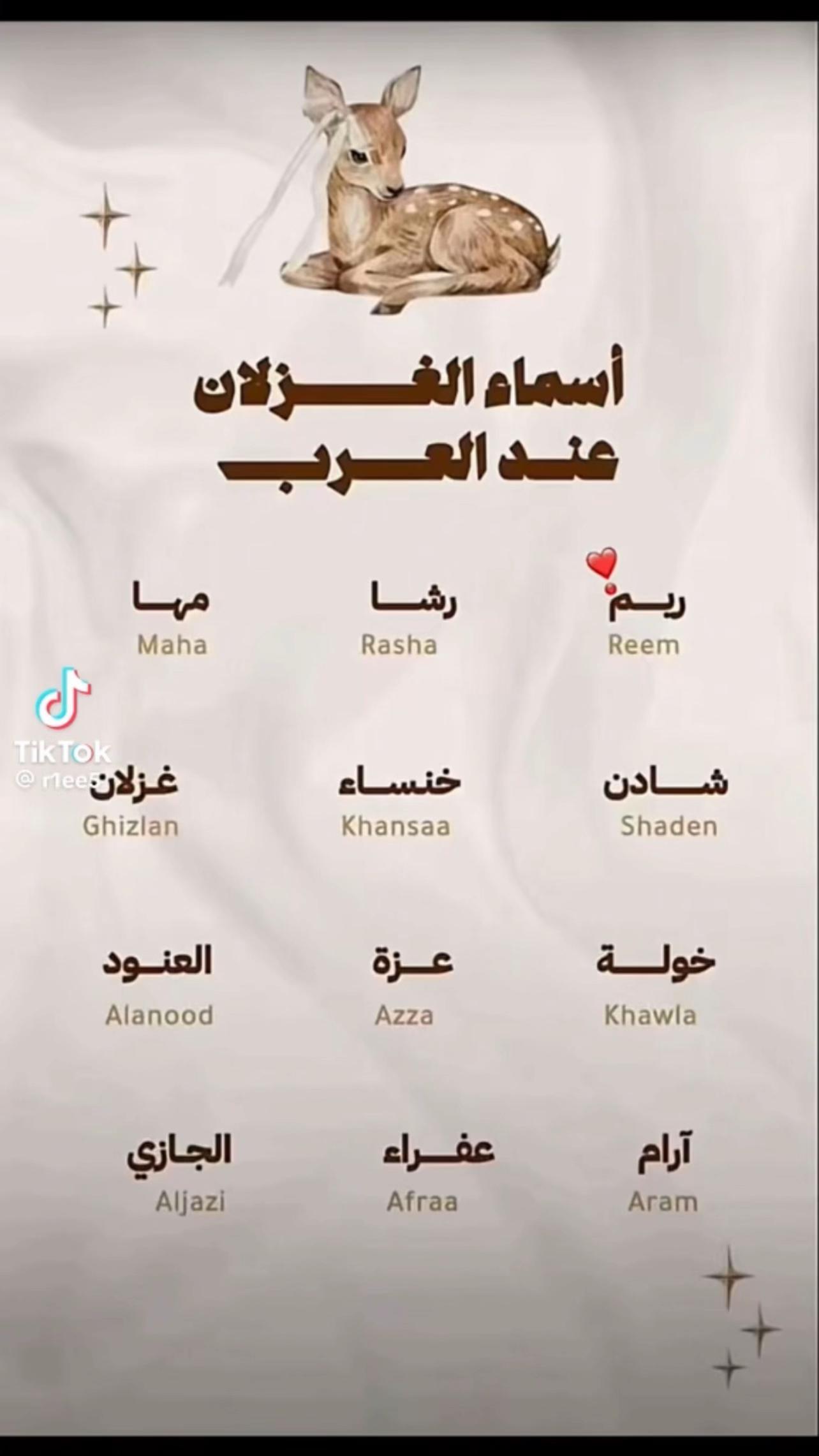 @ريم الرائعة جدًا 💎..