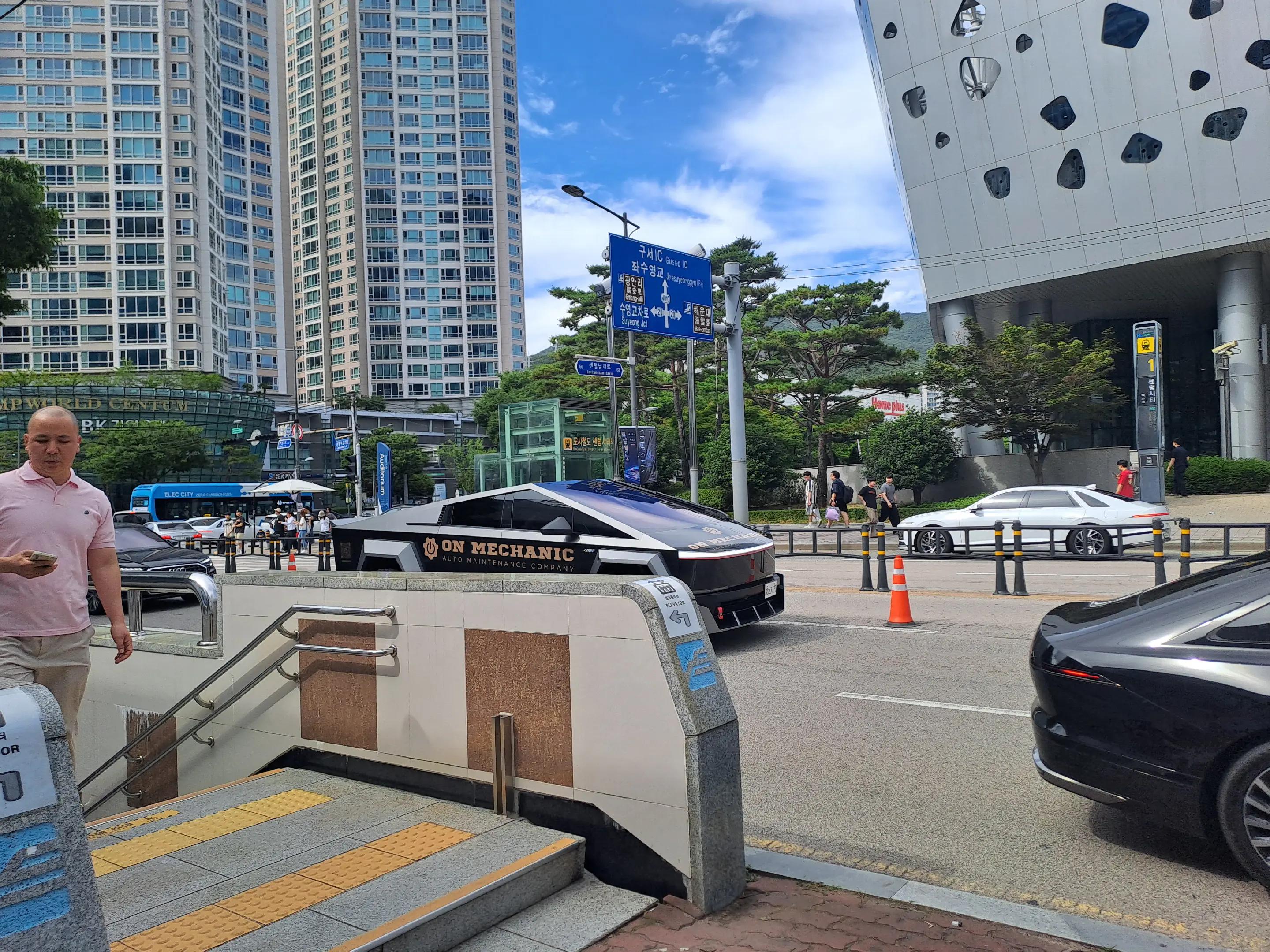 @쑥나무