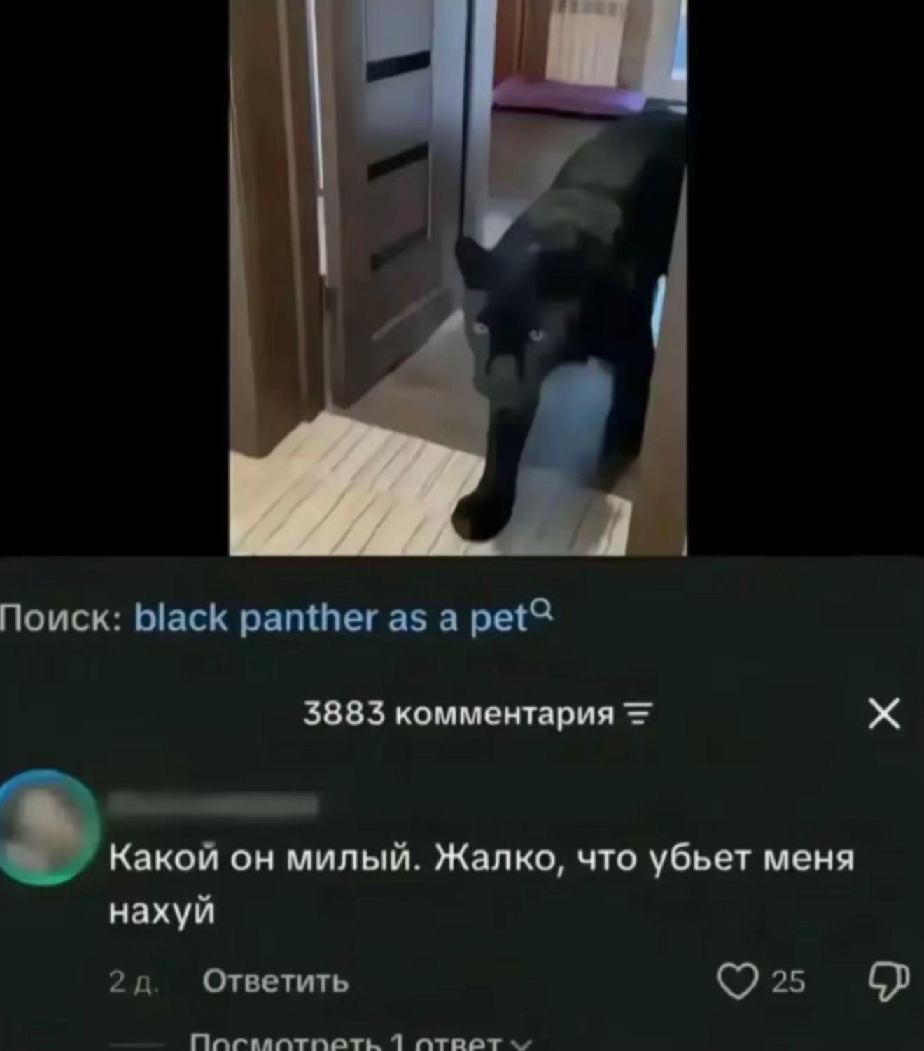 @#NSDнорзсайд