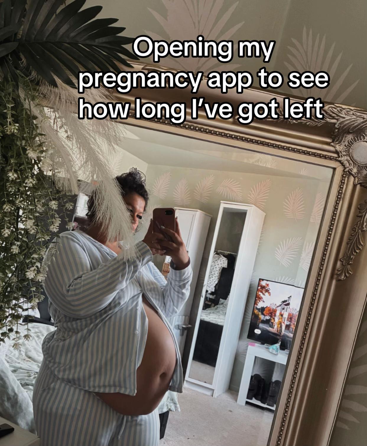 @Mkenzi