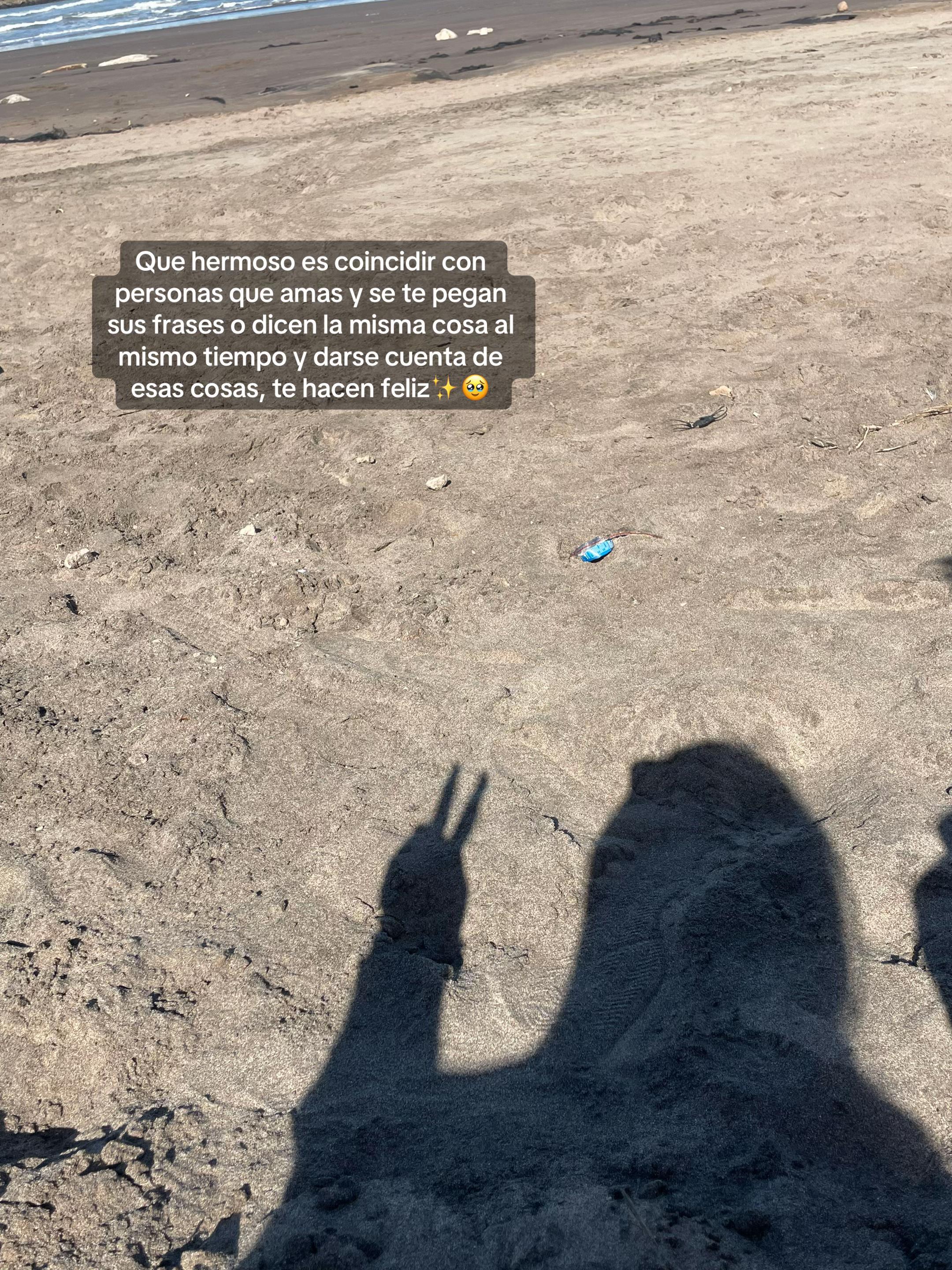 @_oriangelini1