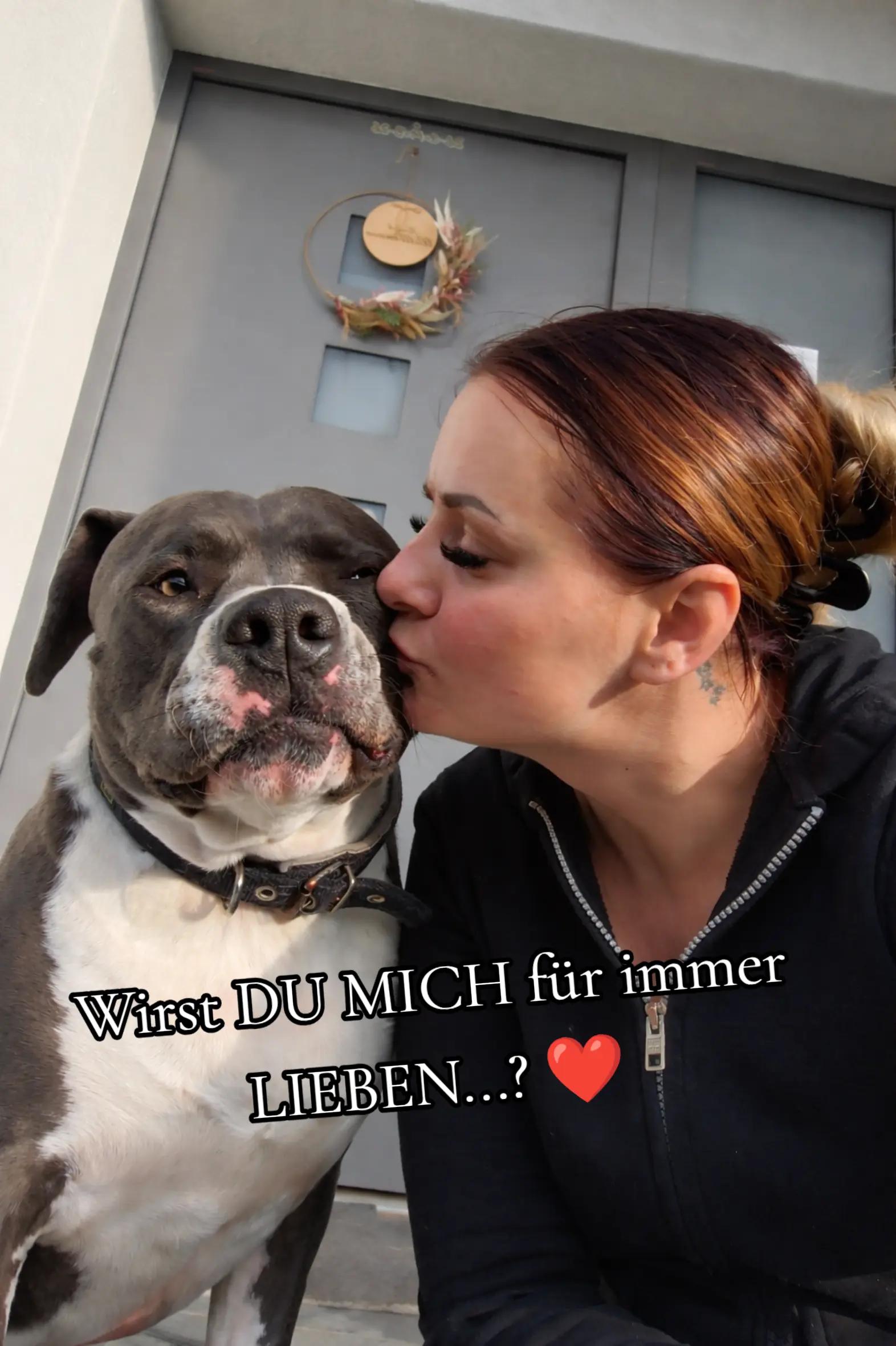 @Kampfschmusser_Nero🖤