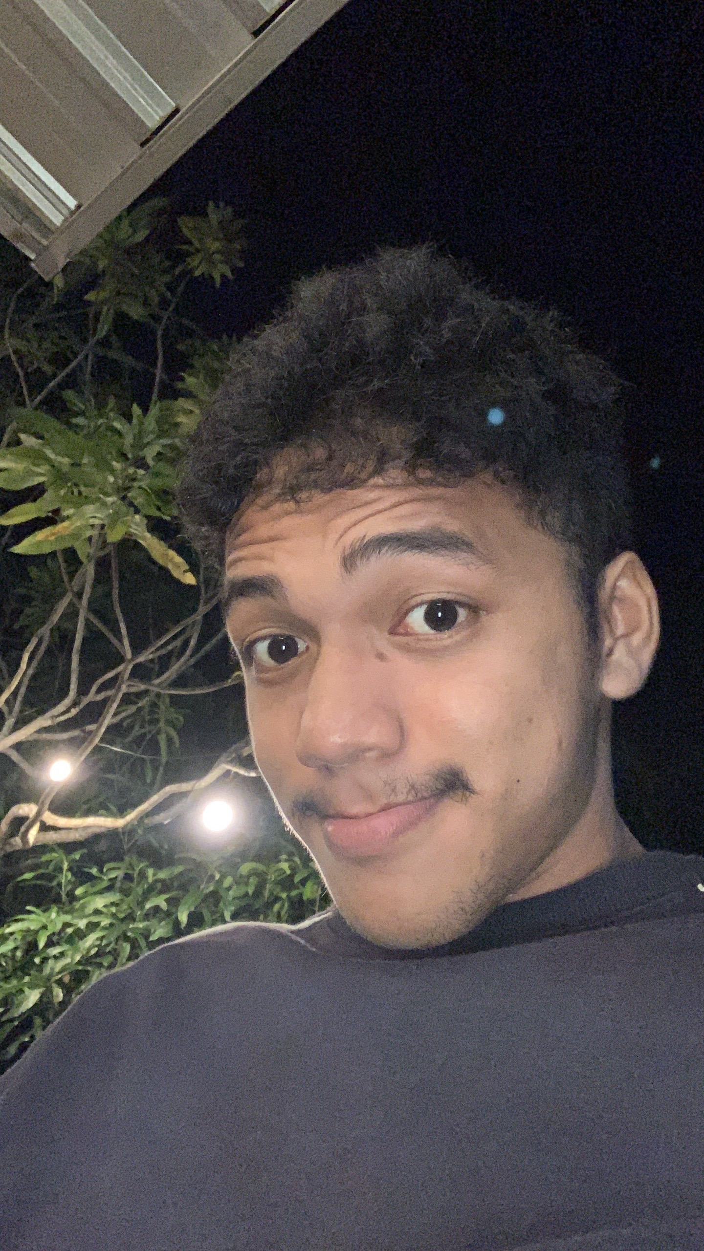 @dika