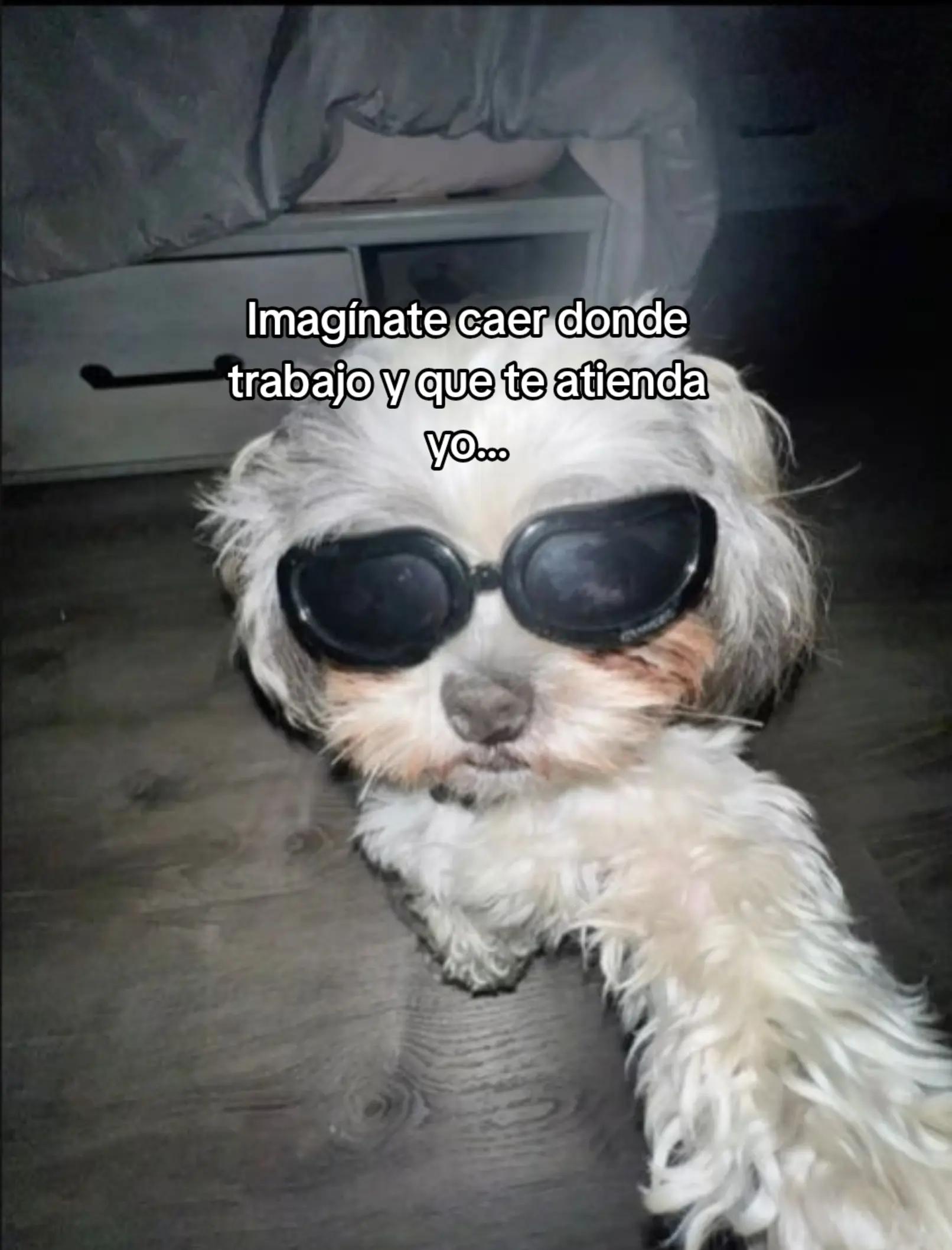 @Erika Saldivar