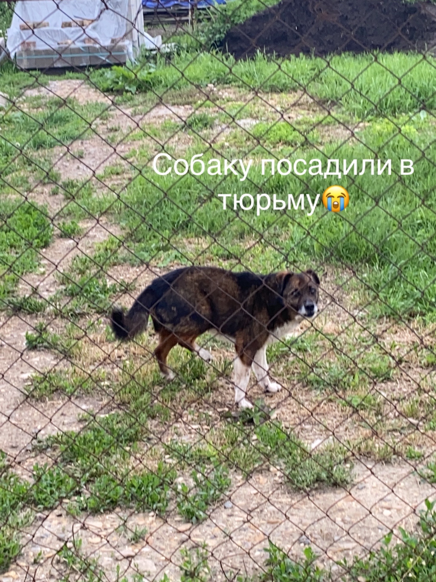 @Sssgg