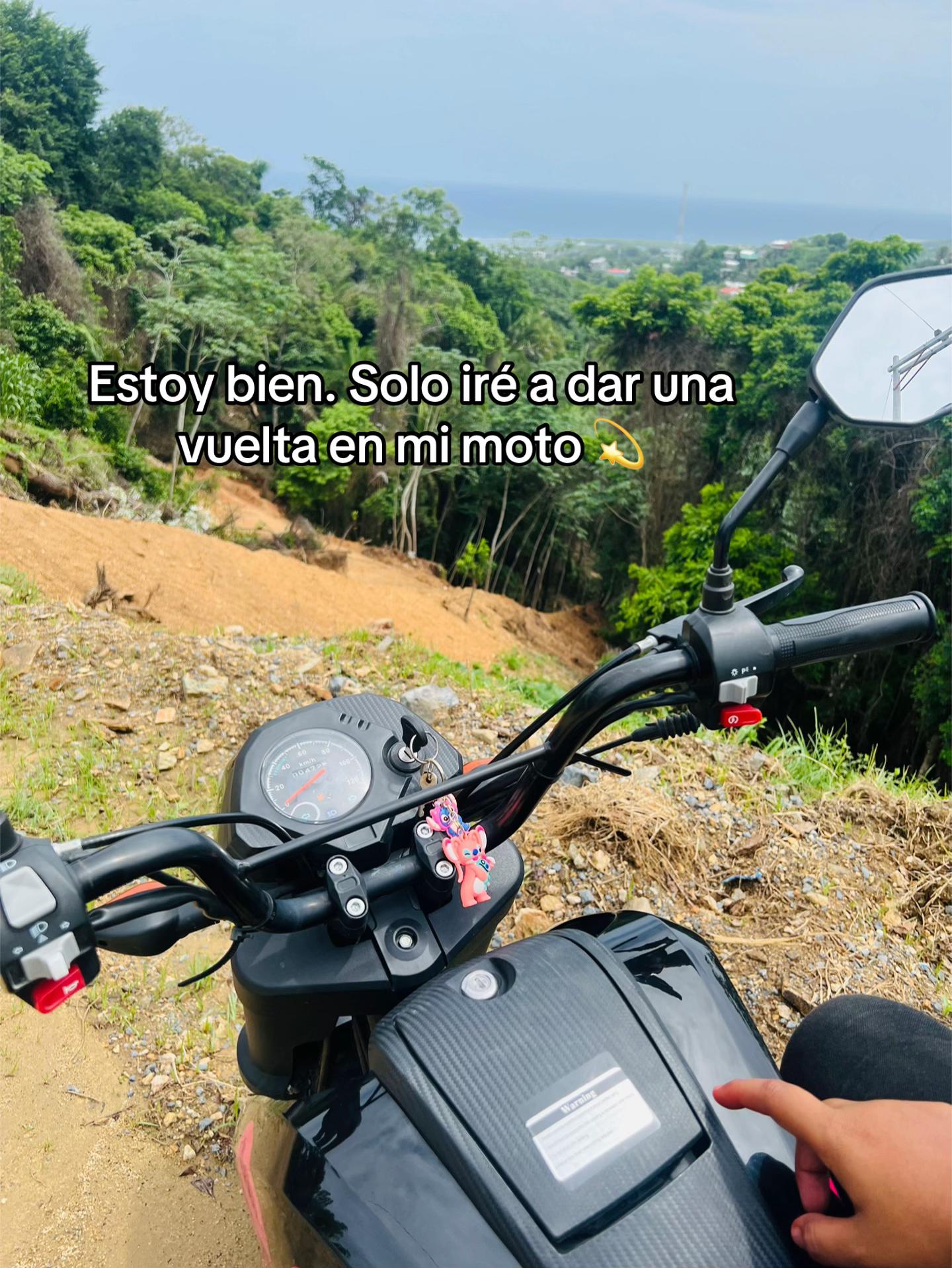 @MOLY 🦋