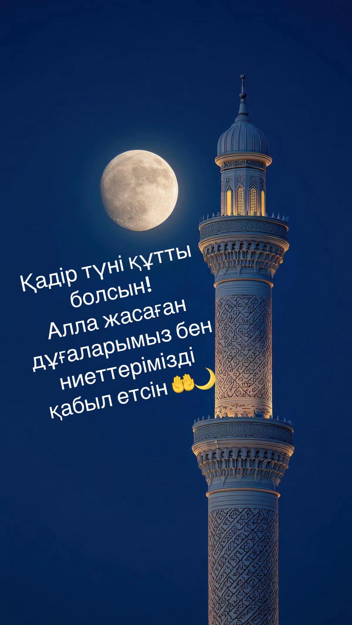 @Tleuzhanova Gulya🌸
