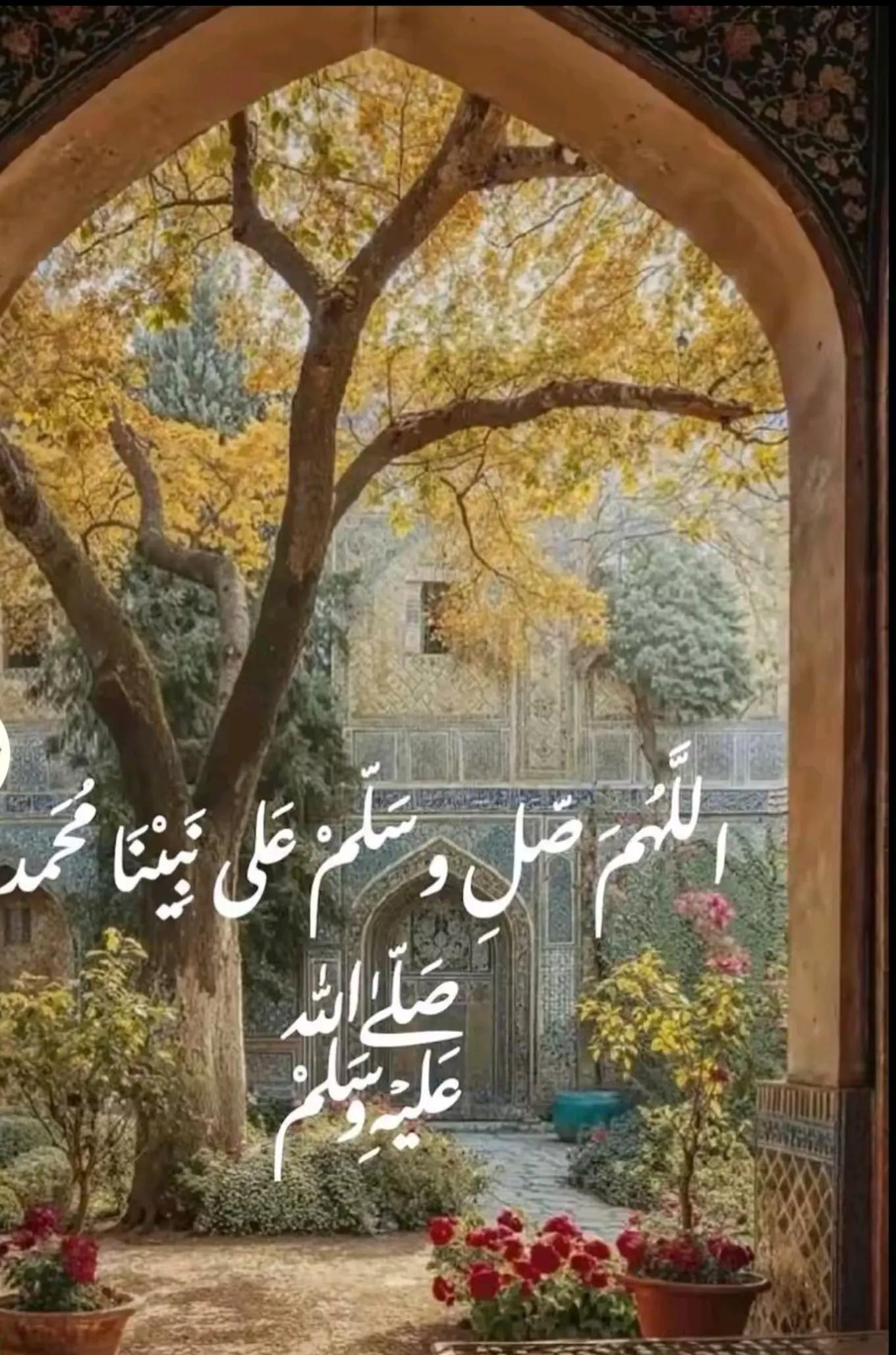 @Amr Hedar