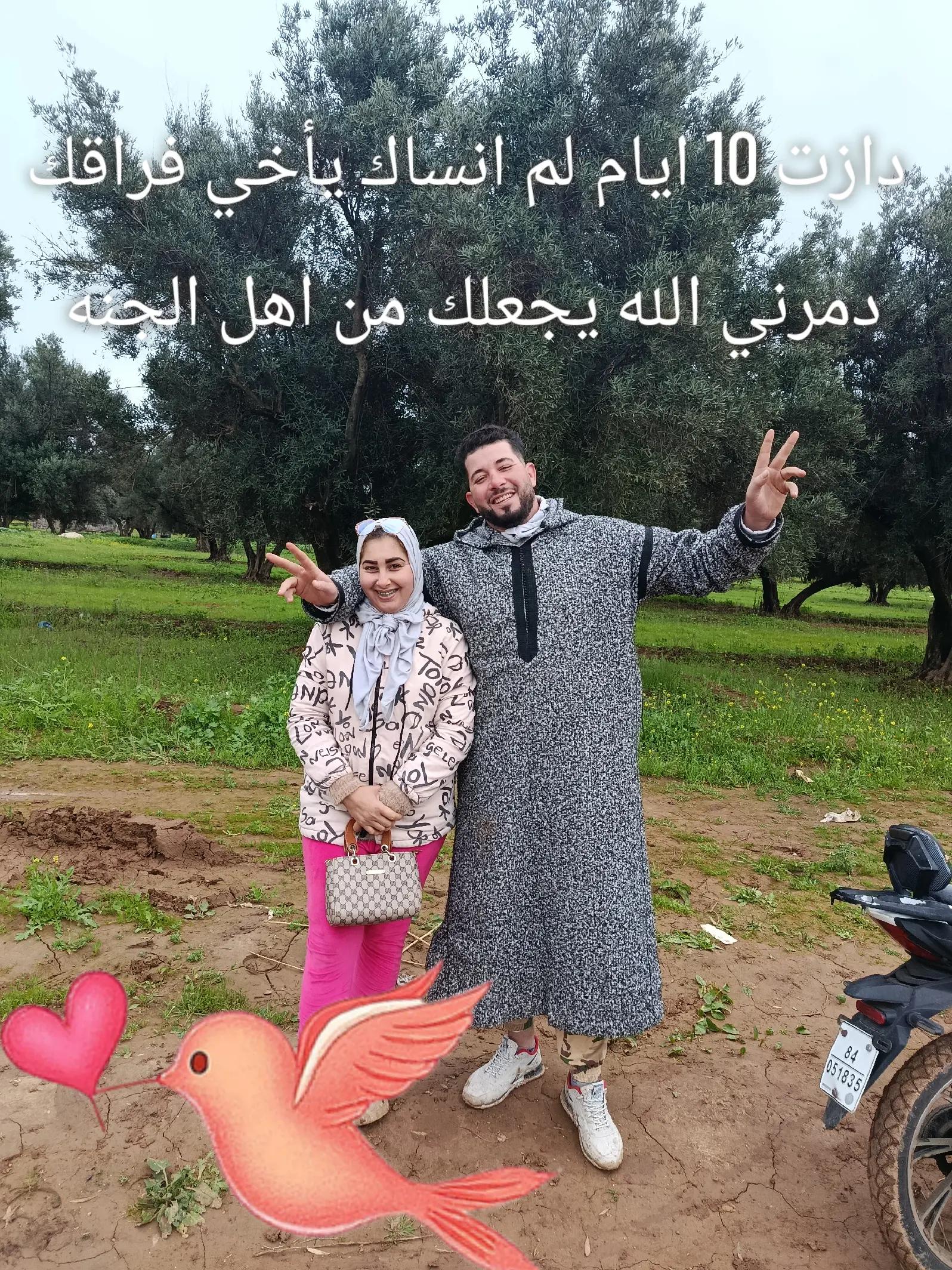 @آميرة جنات