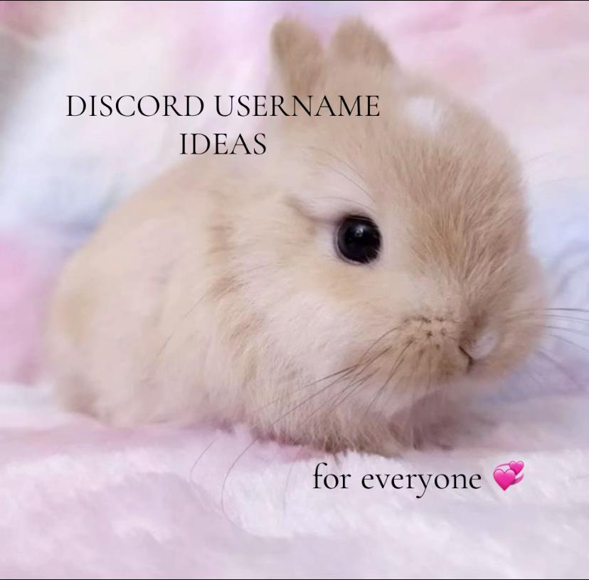 @ᶻ 𝗓 𐰁 /vaenix