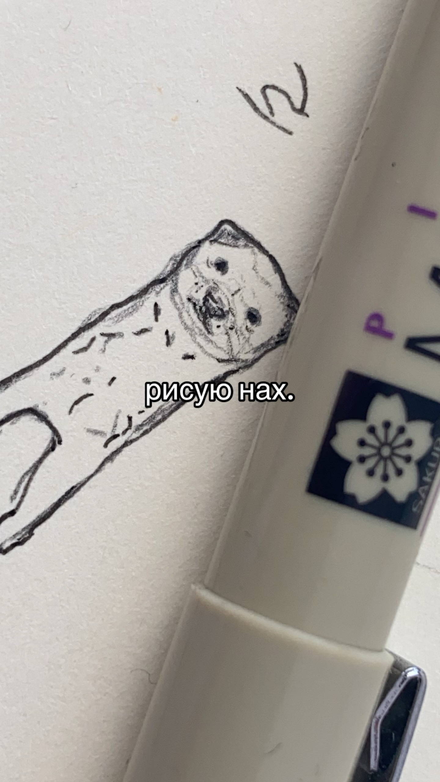 @𝐏𝐔𝐏𝐋 𝐃𝐎𝐆𐙚