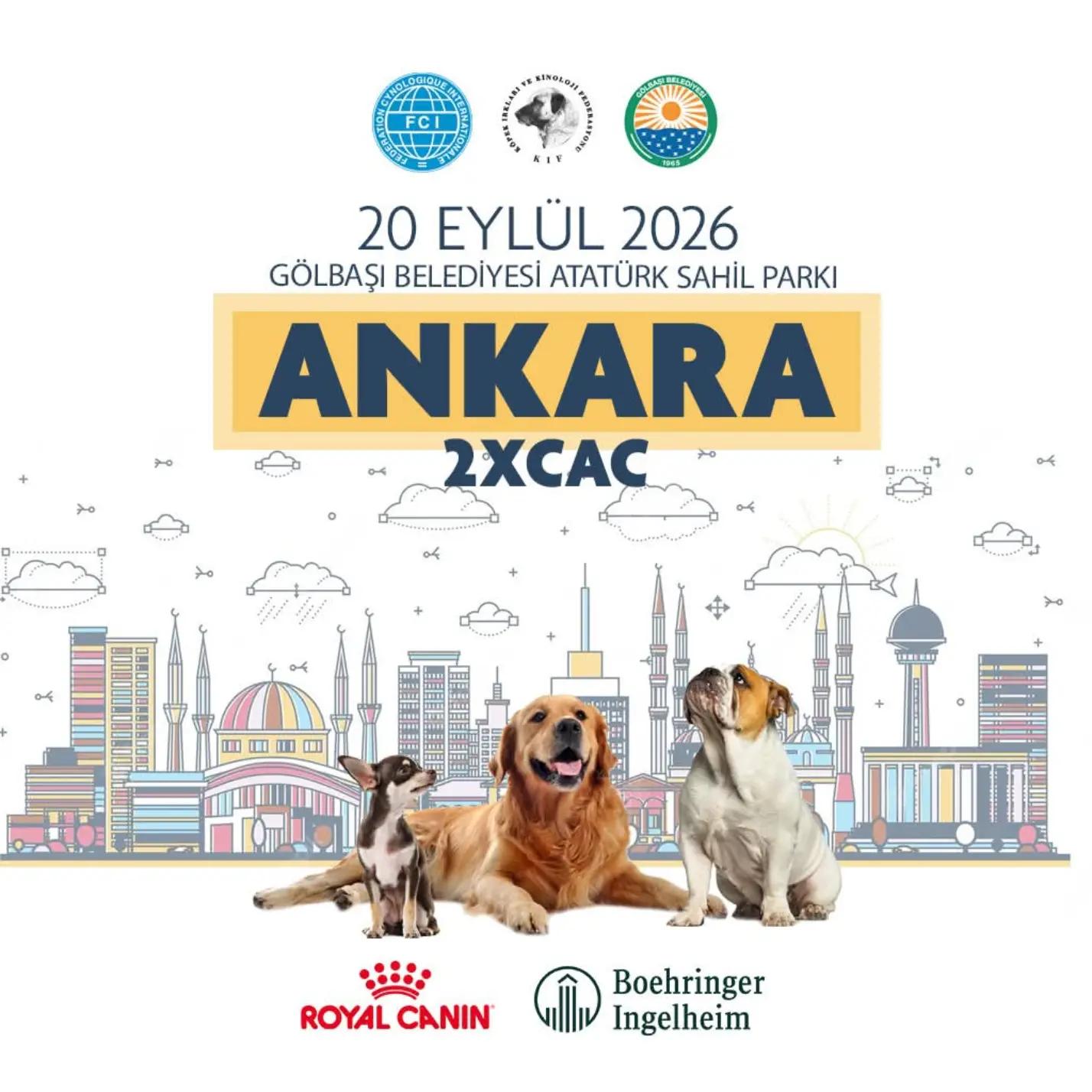 @Bosphorus Bulls French Bulldog