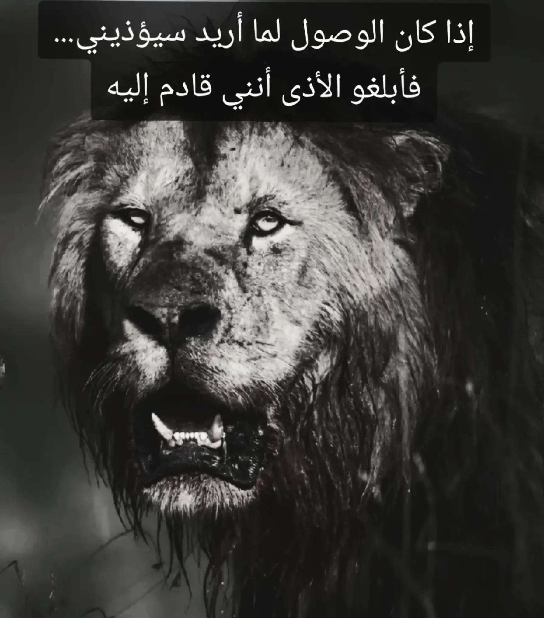 @🦁 scarface 🦁