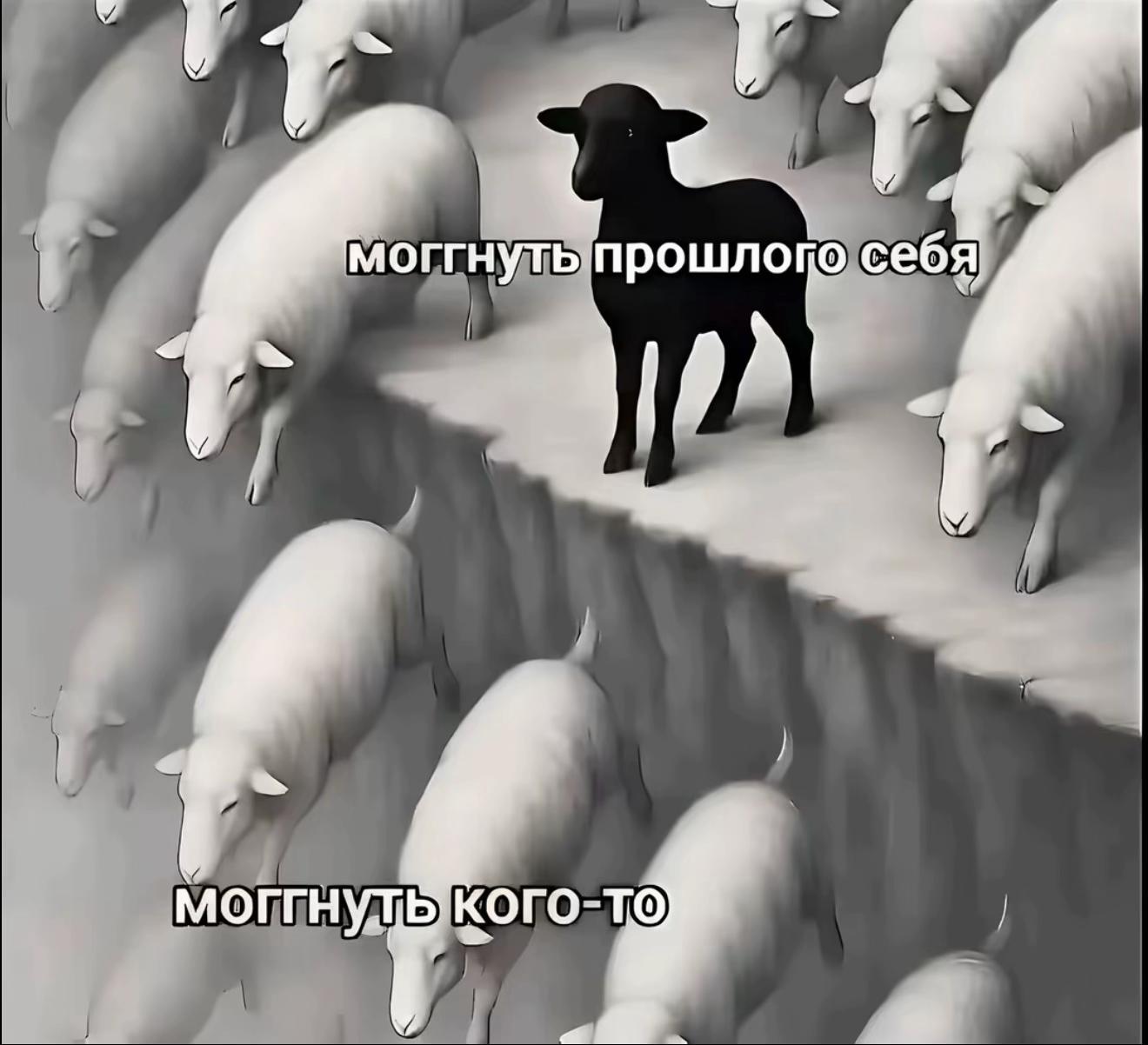 @Vetochka