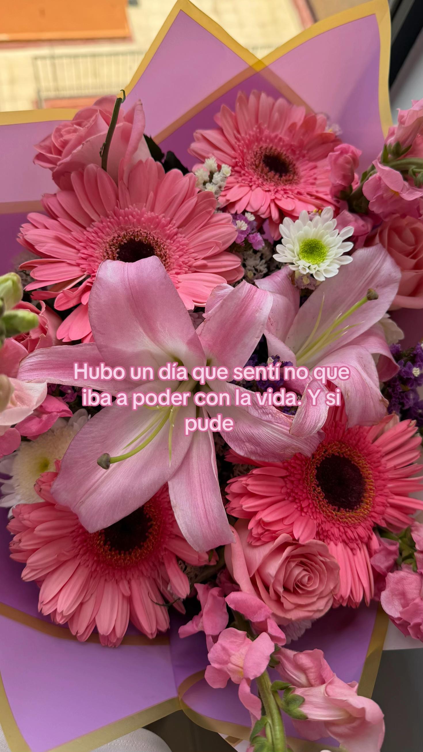 @GiGi Yu 💕