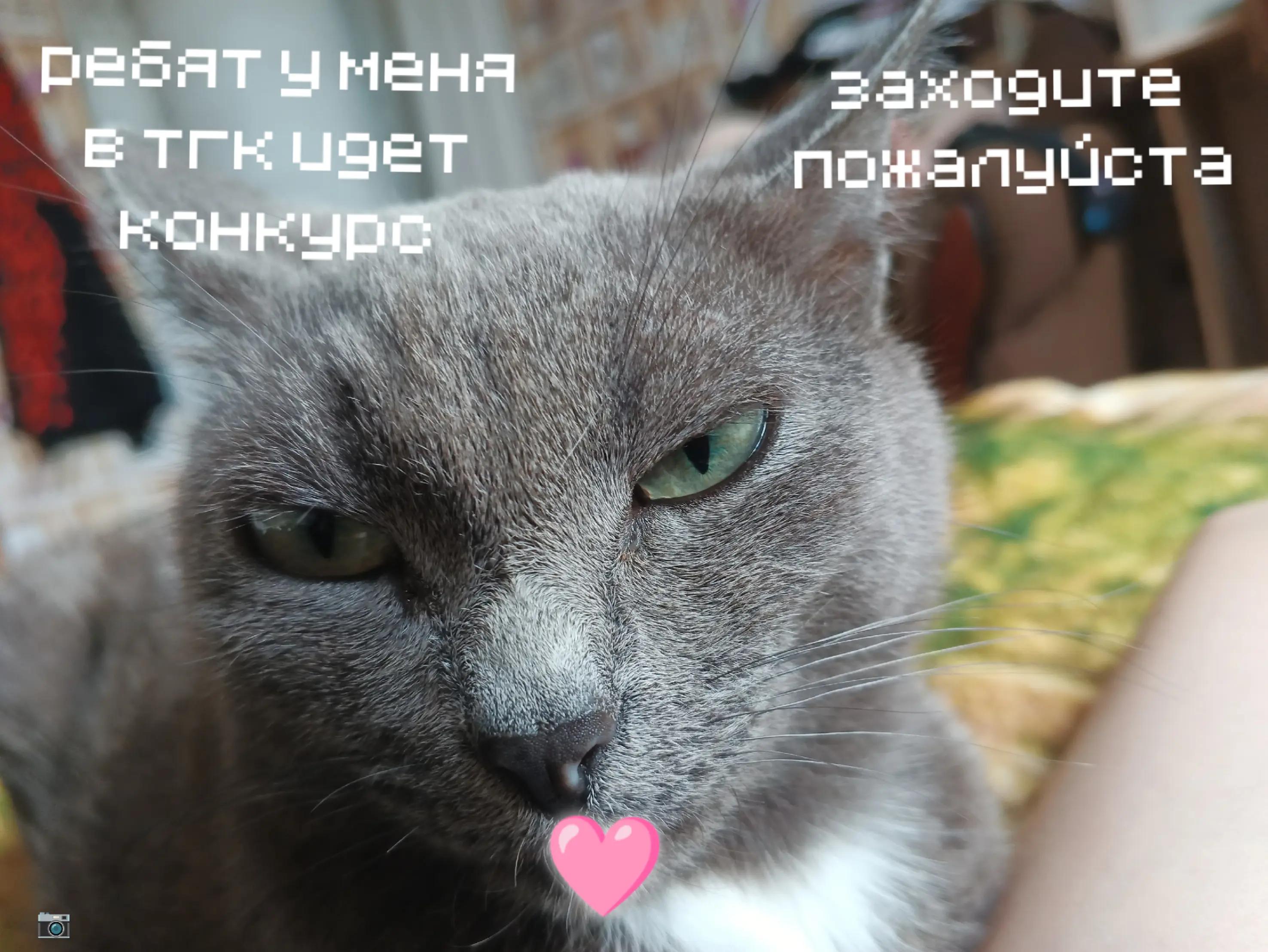 @ДОБРЫНЯ