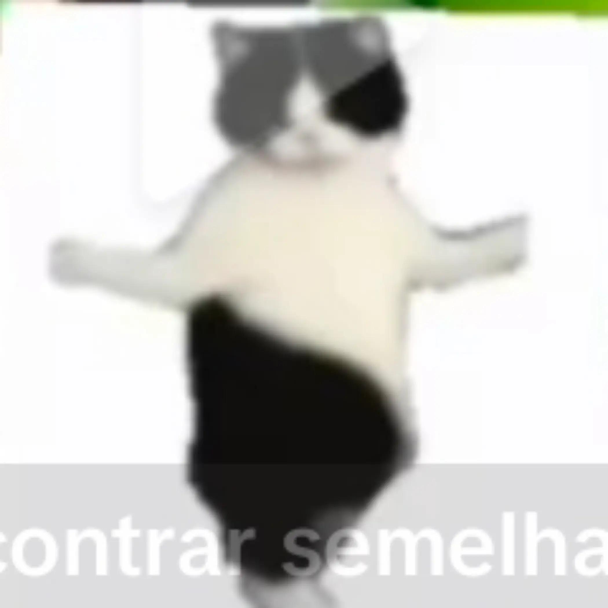 @cookie