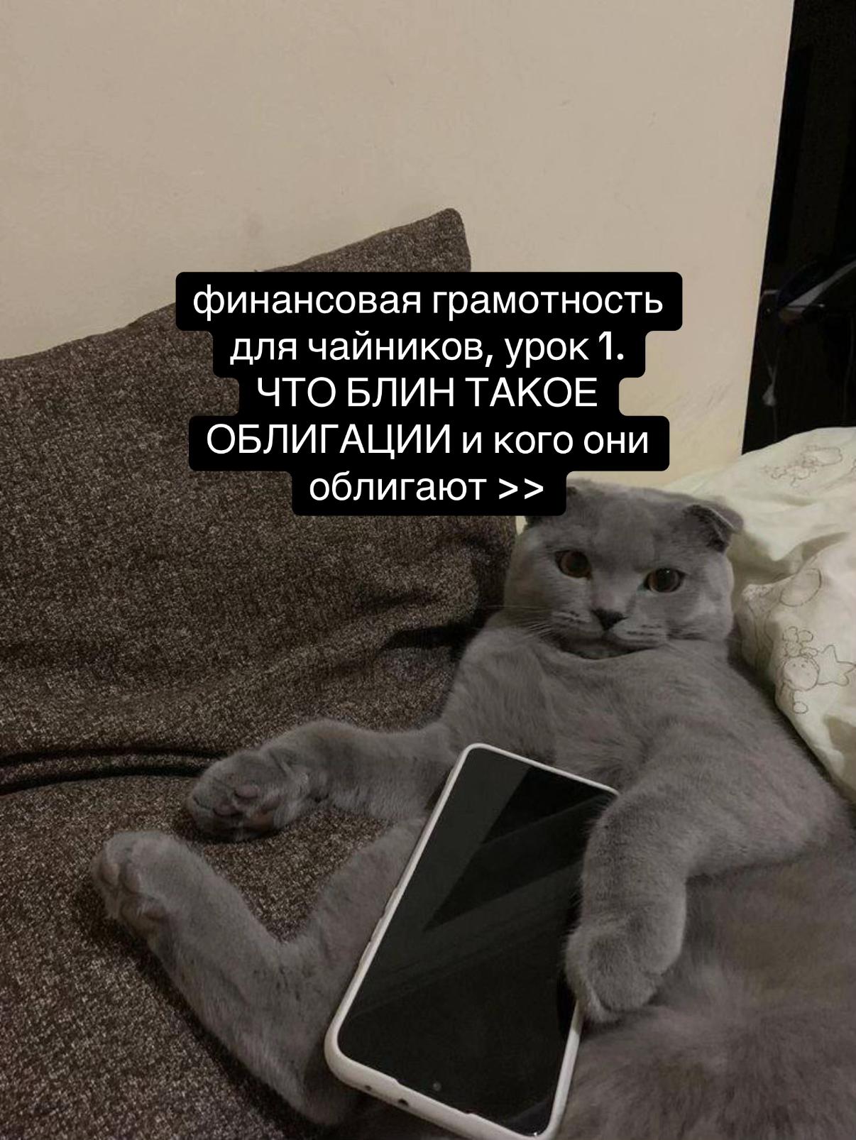 @леся ᴗ̈