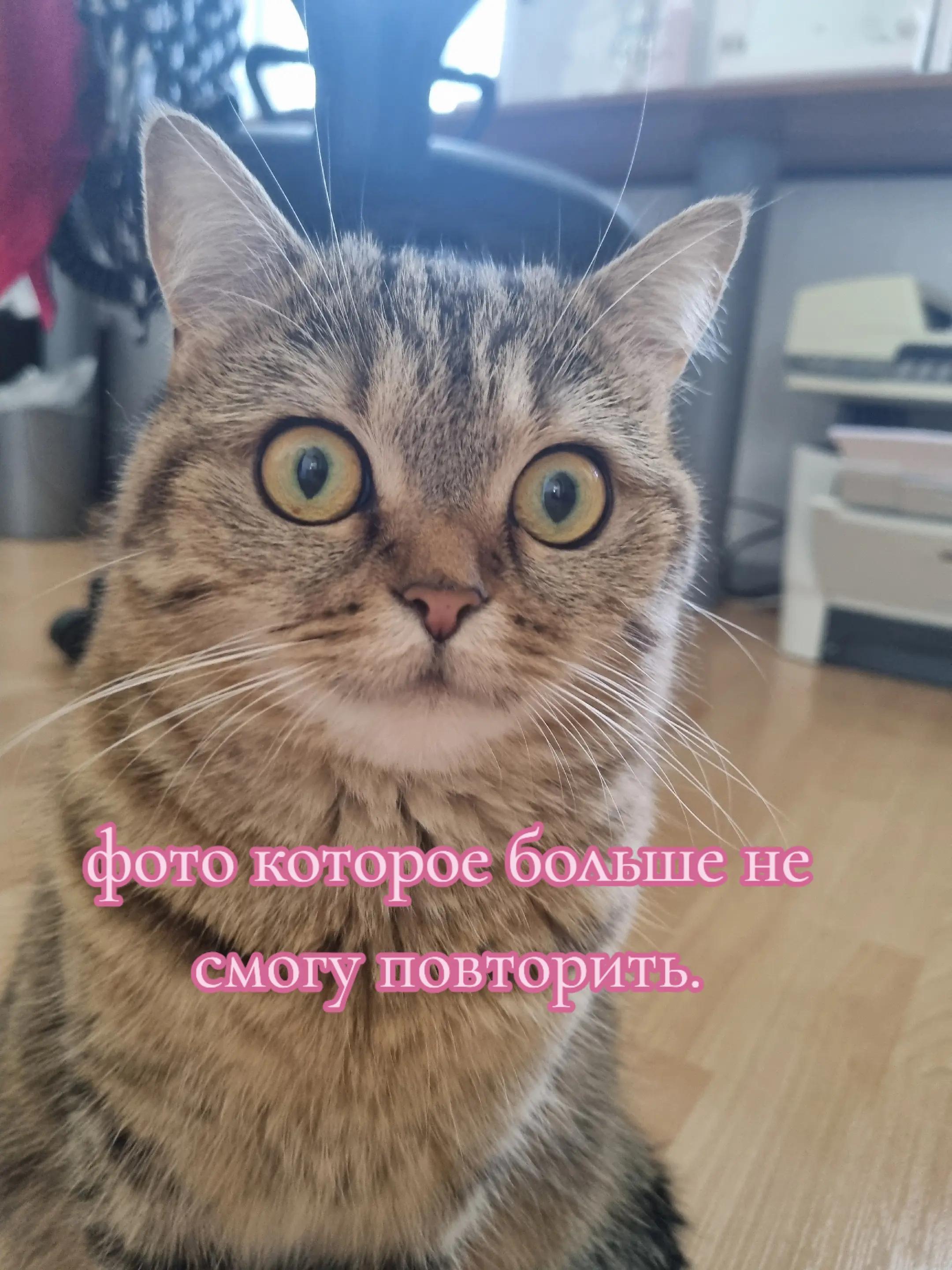 @KrissPriss