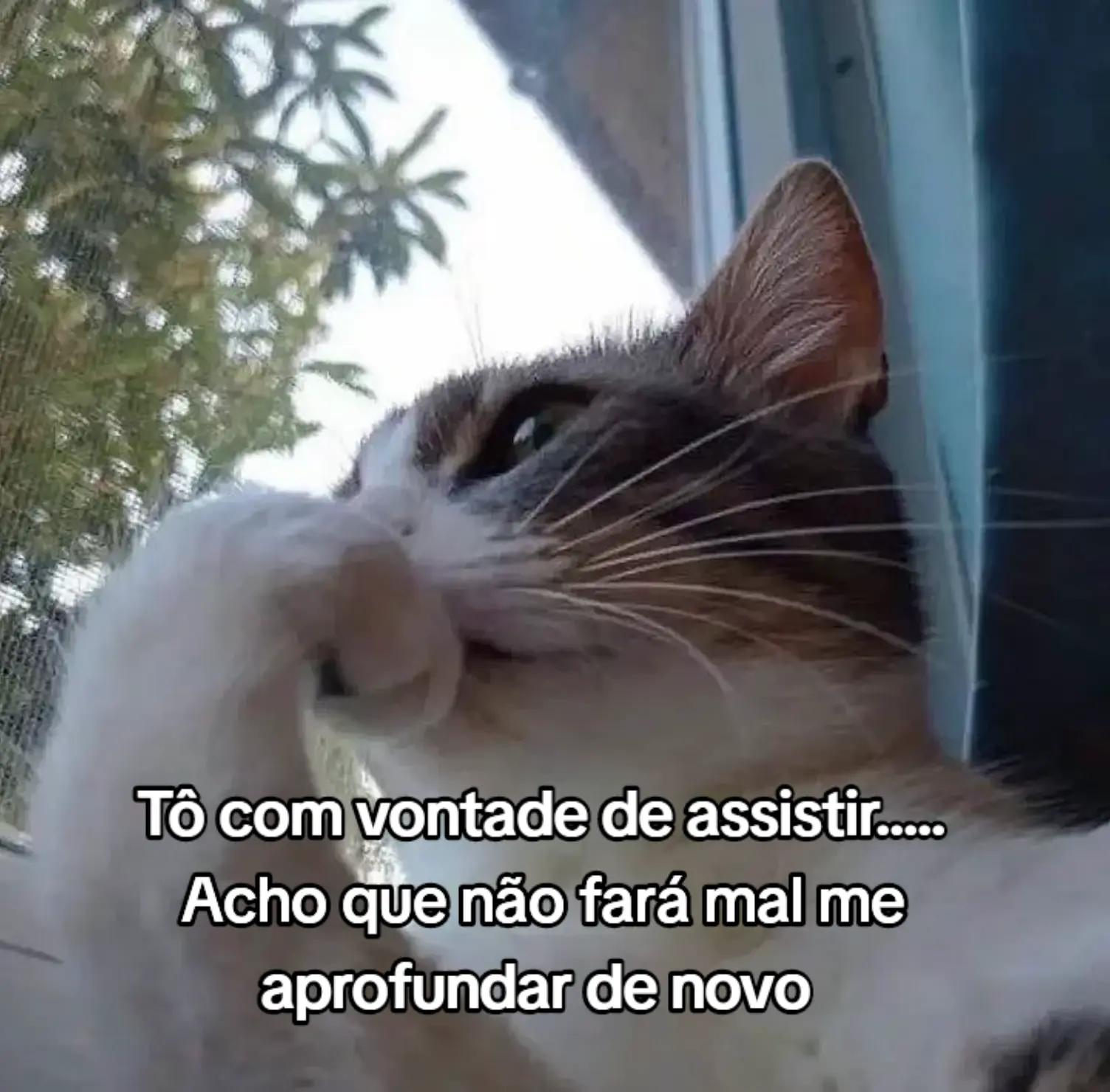 @M. Rudy