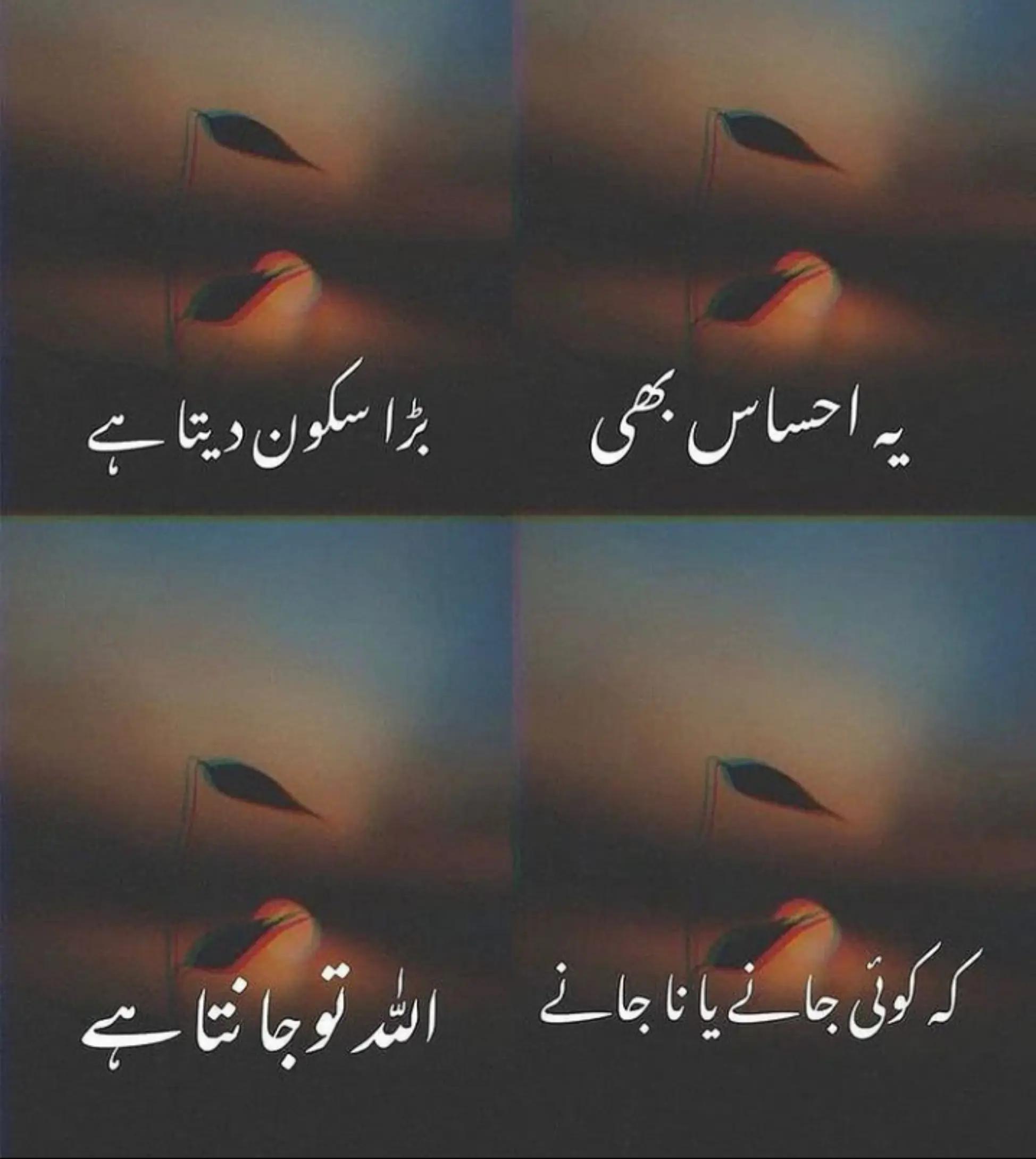 @Arslangii