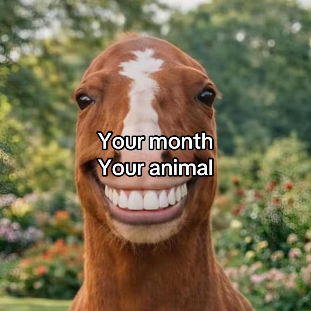 @secretlifeofsomeone