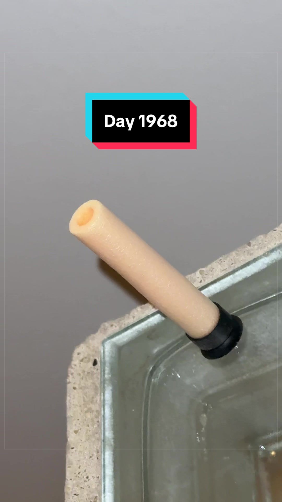 @The Immortal Nerf Dart