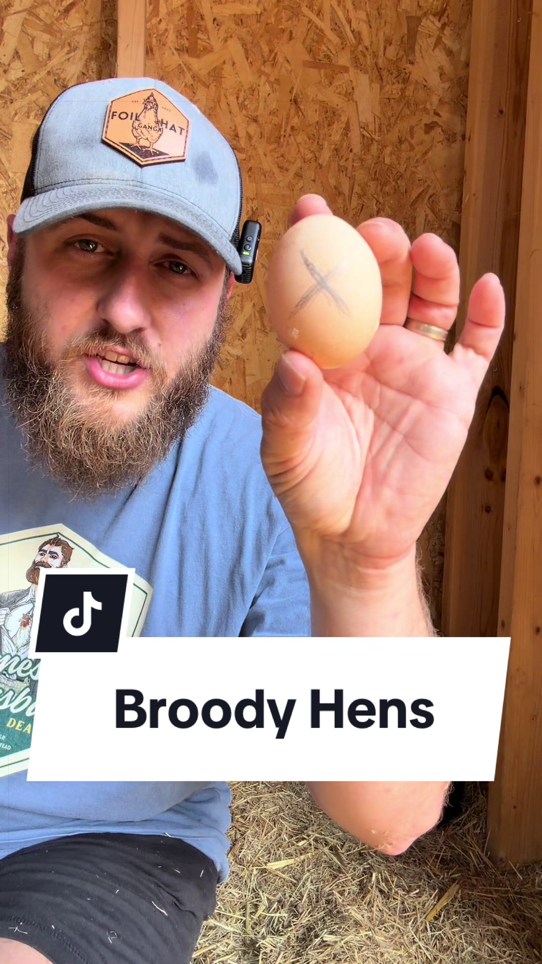 @Bandrhomestead