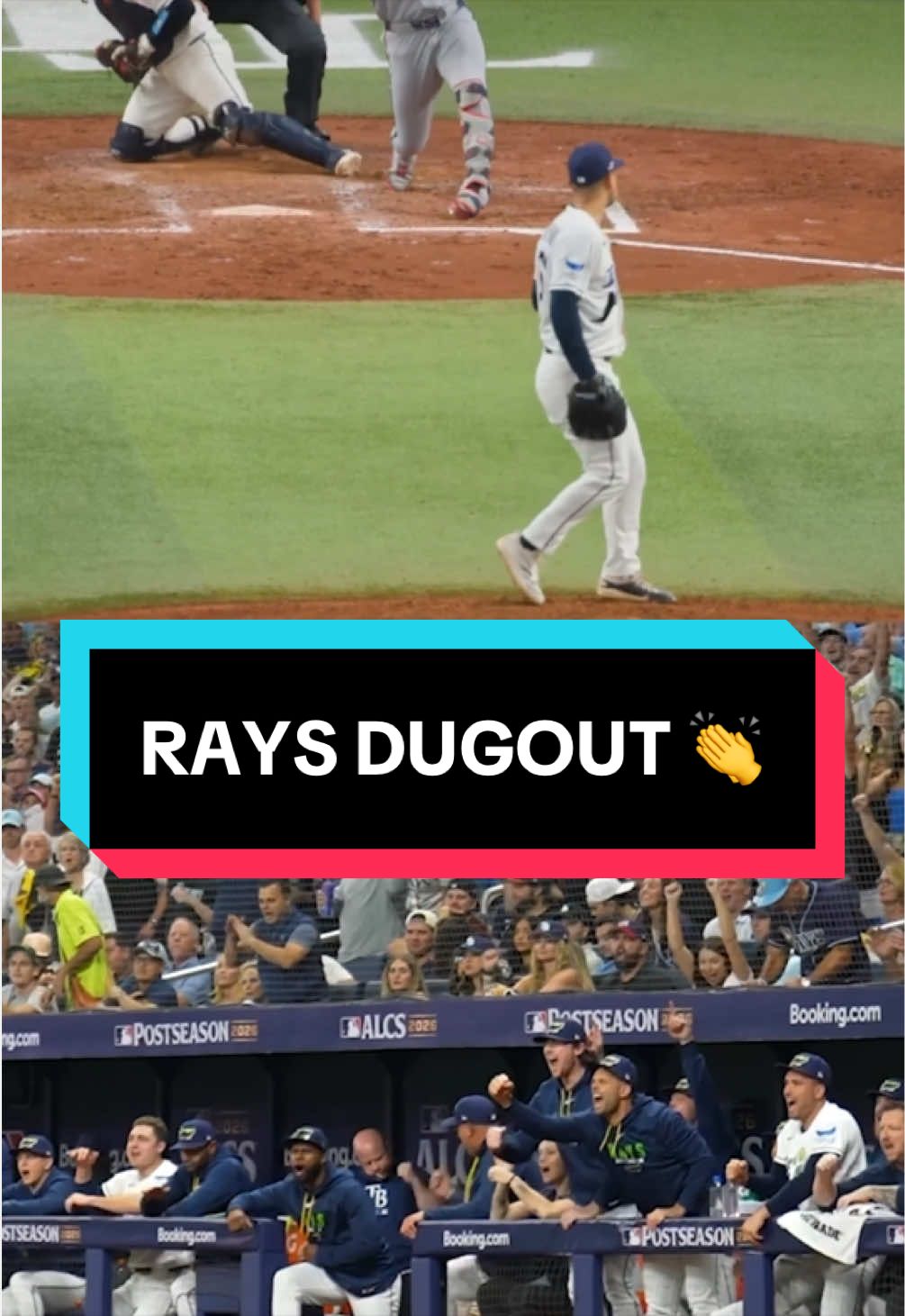 @MLB