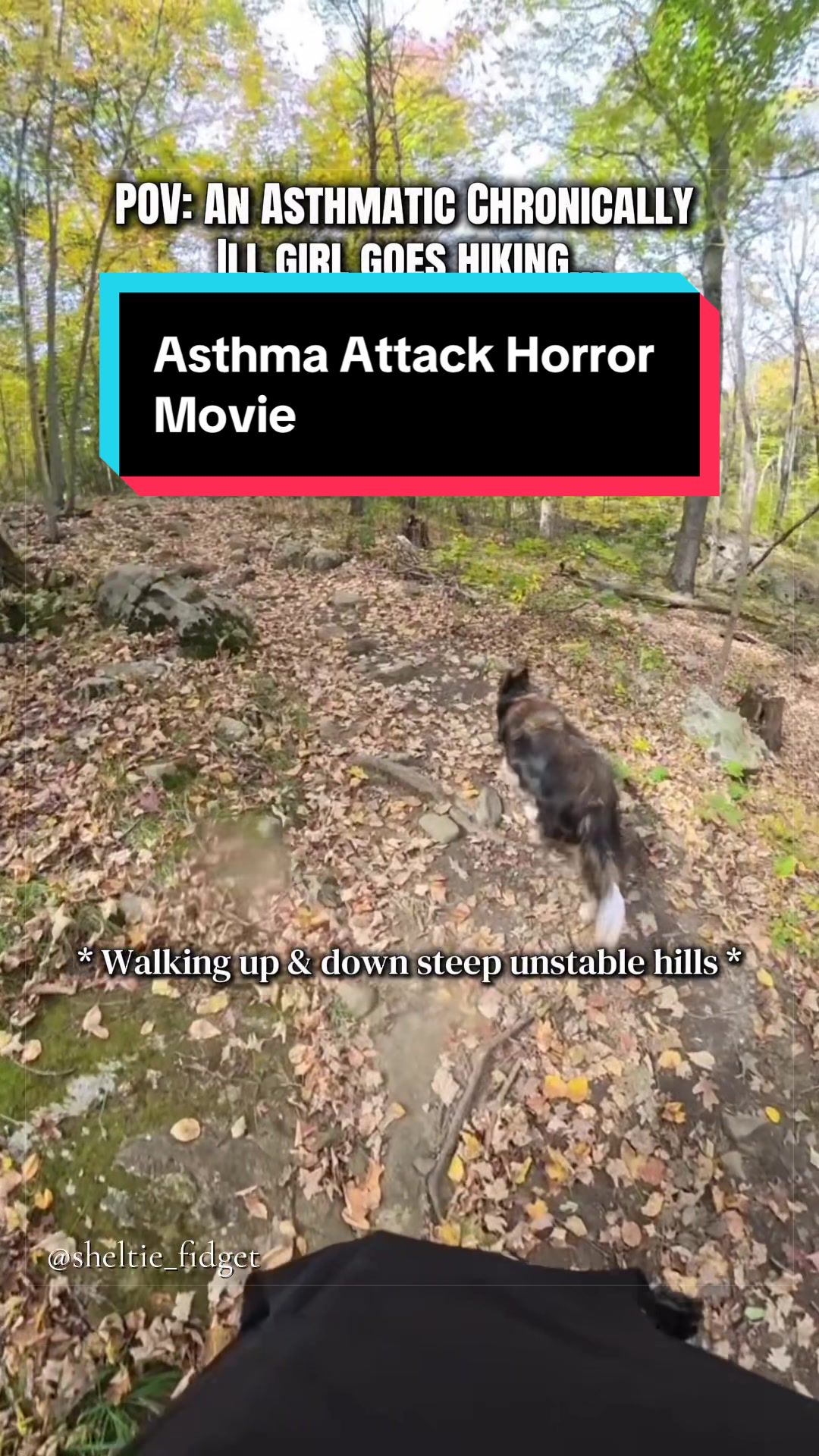 @Dakota & Pups