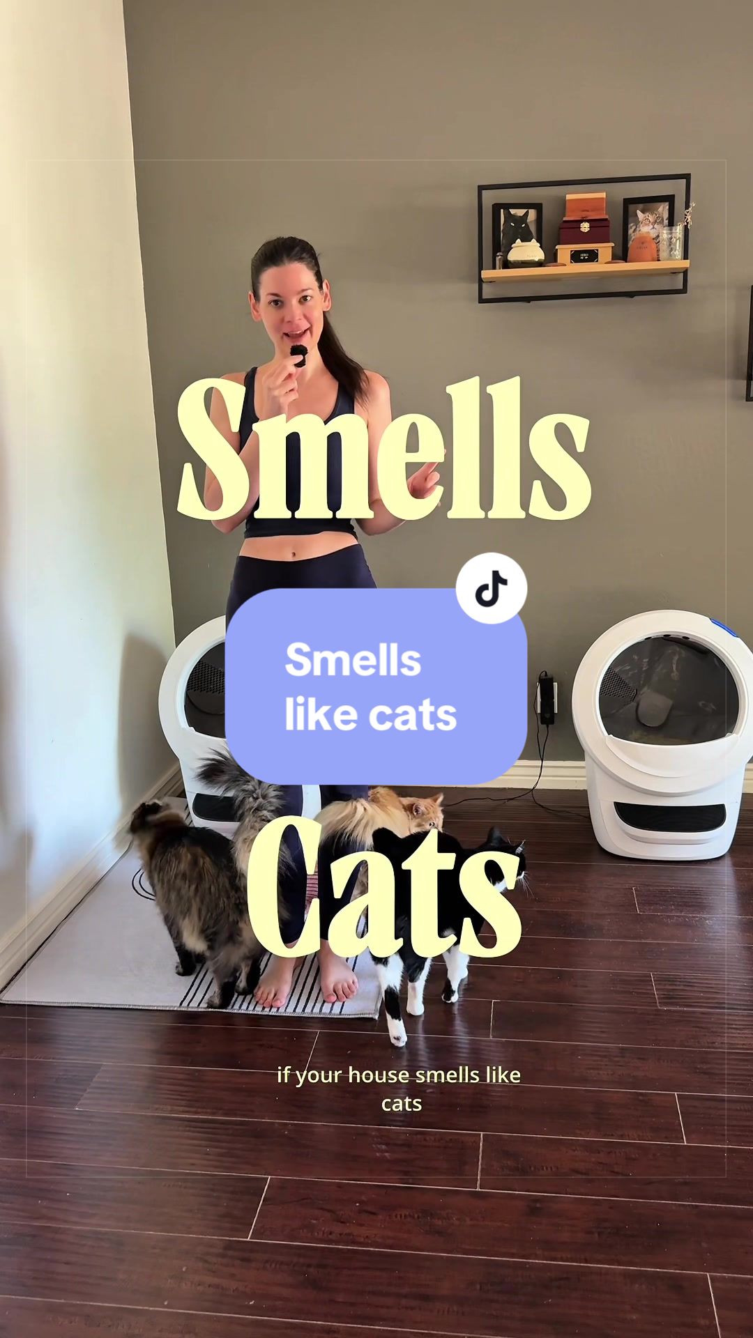 @Feminist Kitty | Cat Nutrition