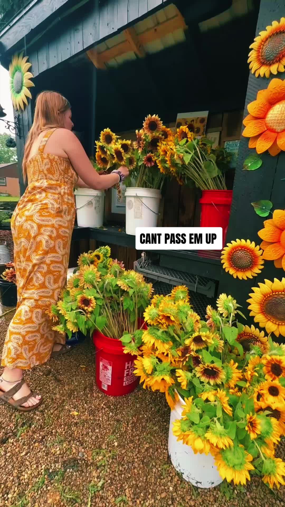 @Taylor Rayne |🚌|Digital Nomad