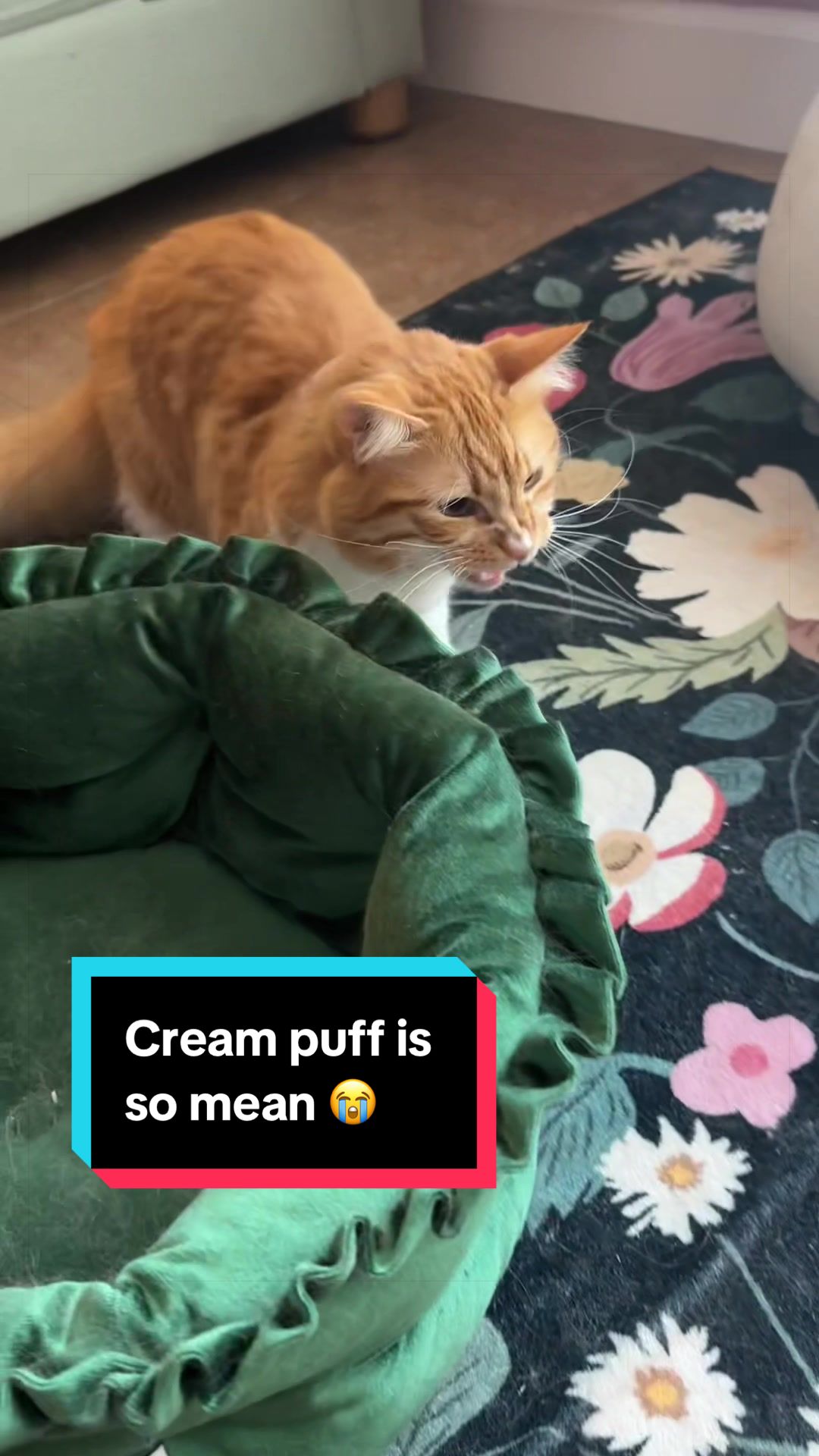 @meloncreamcat
