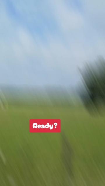 @DADDYd61