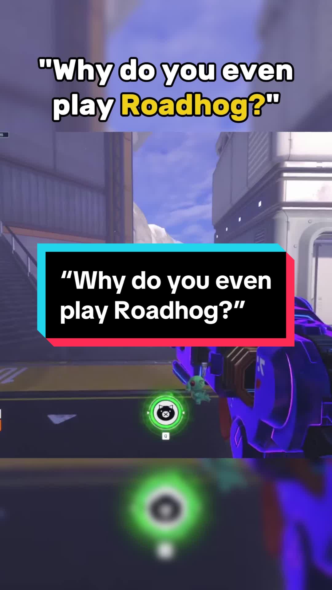 @NewHogNation