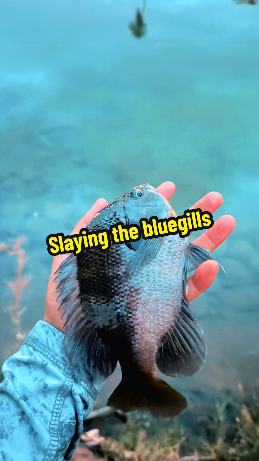 @Luu Nguyen Fishing