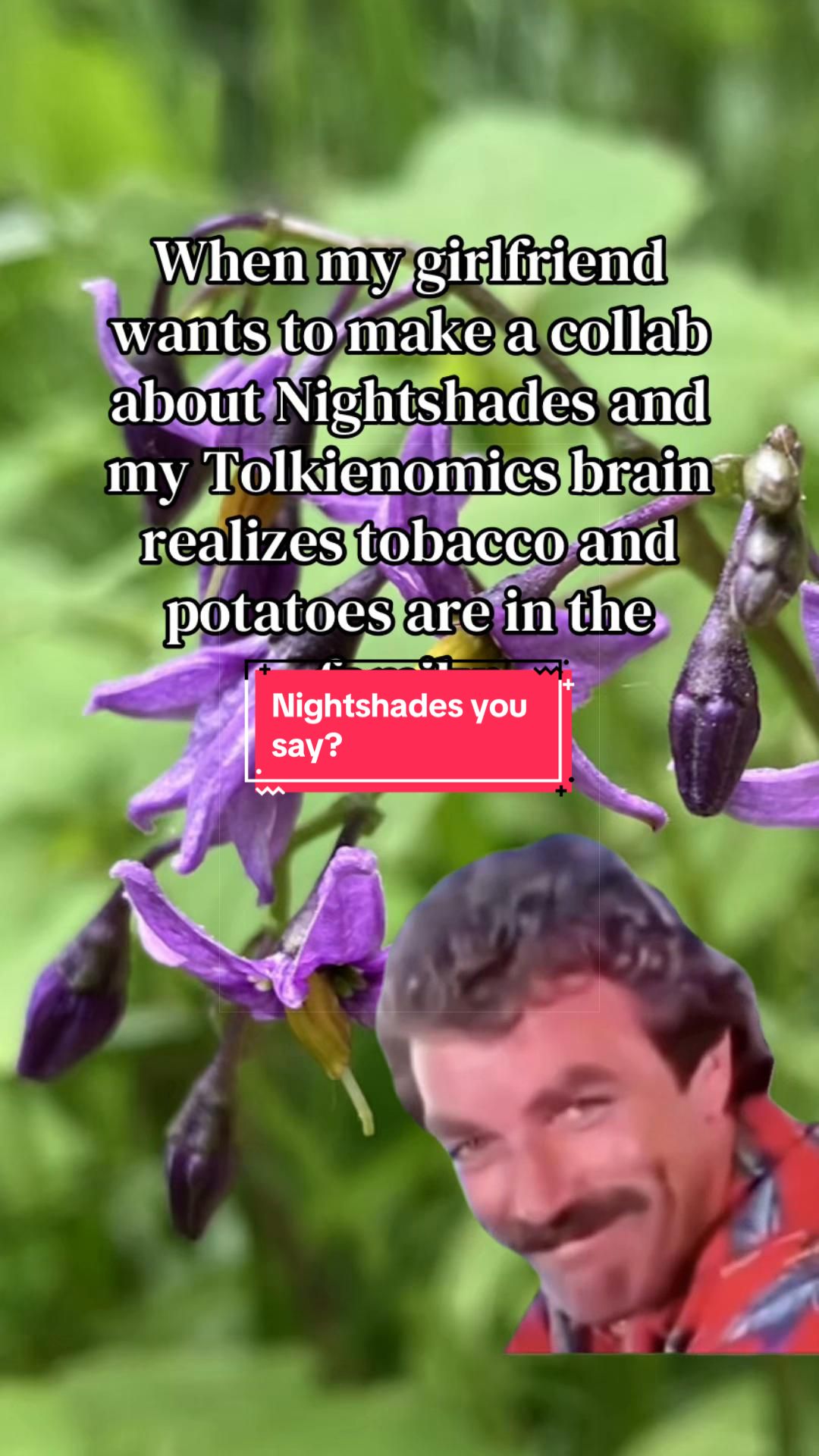 @Mithgond ᚠ