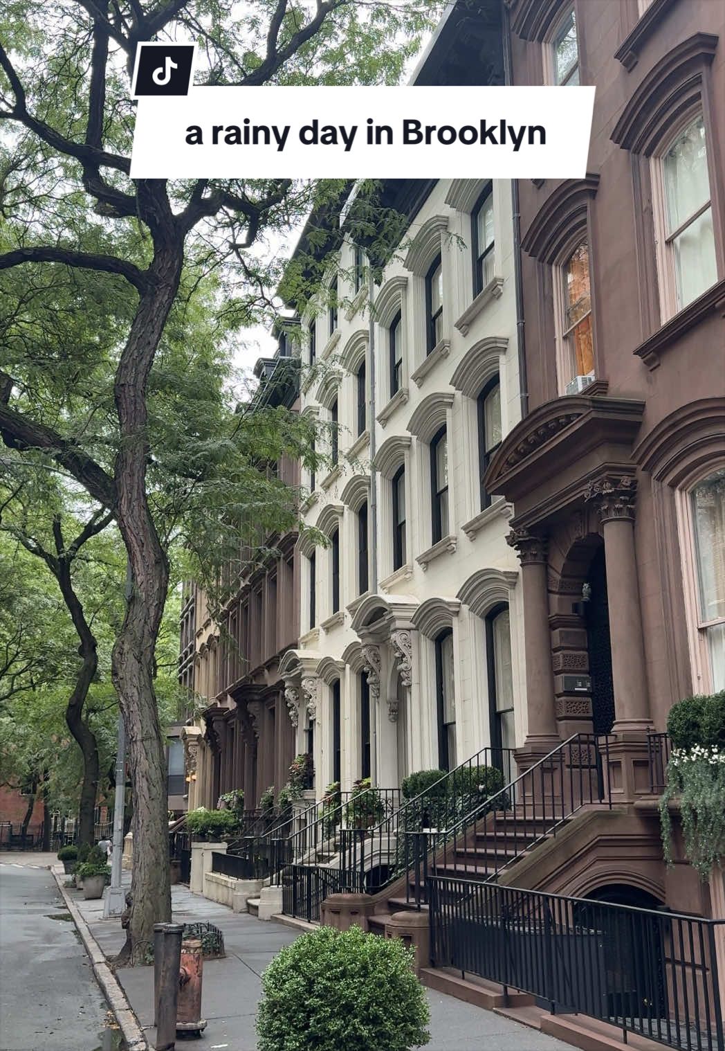 @Cassidy | NYC Living & Travel