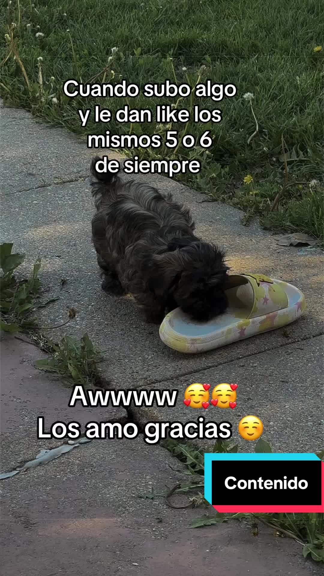 @Yohandragonz