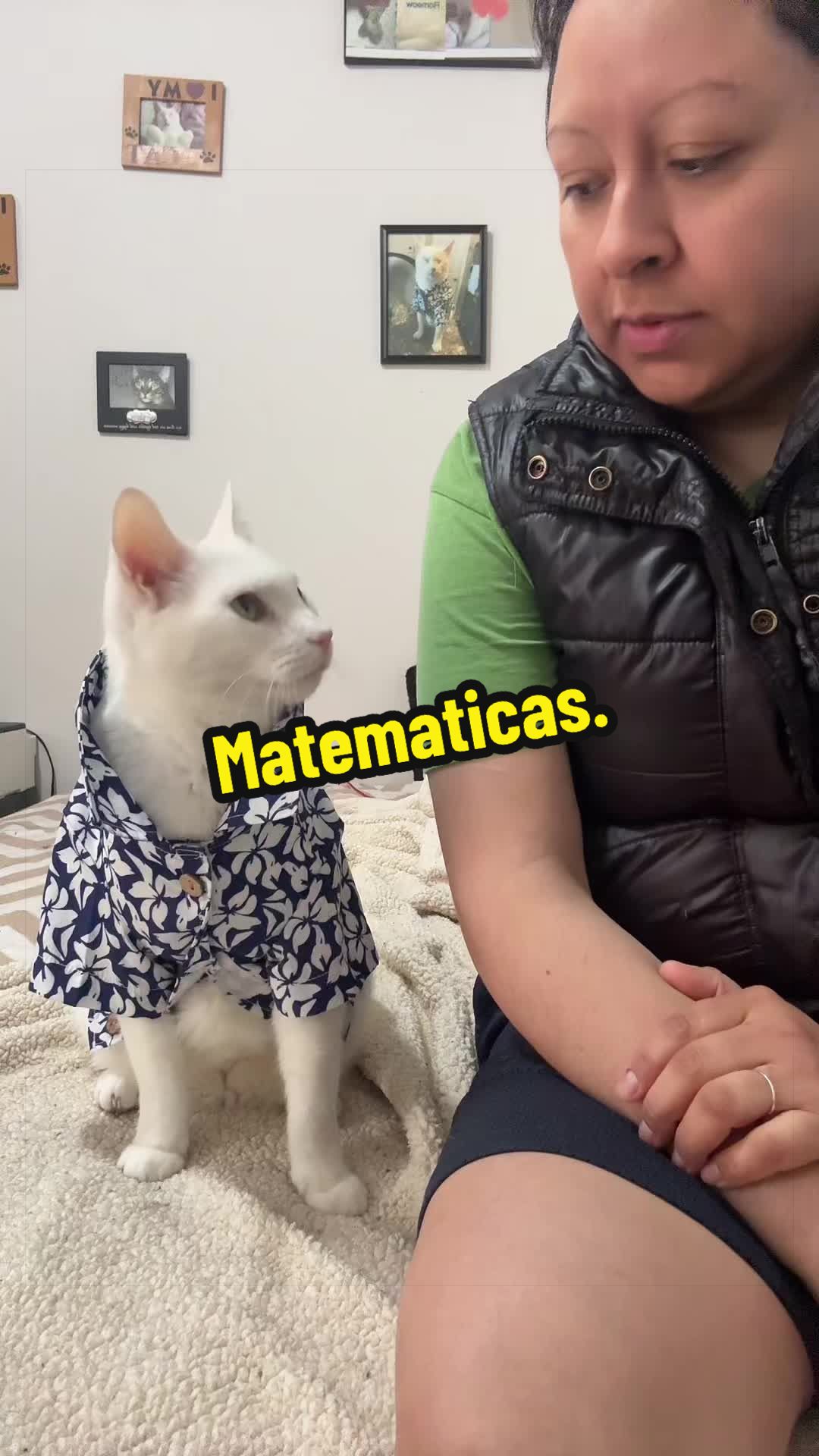 @🦖 MEOWassic CAT😺