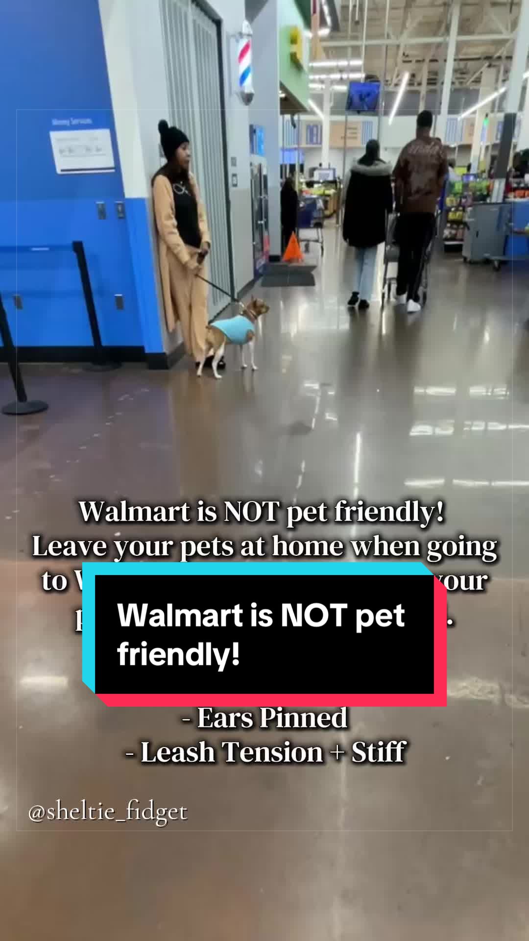 @Dakota & Pups