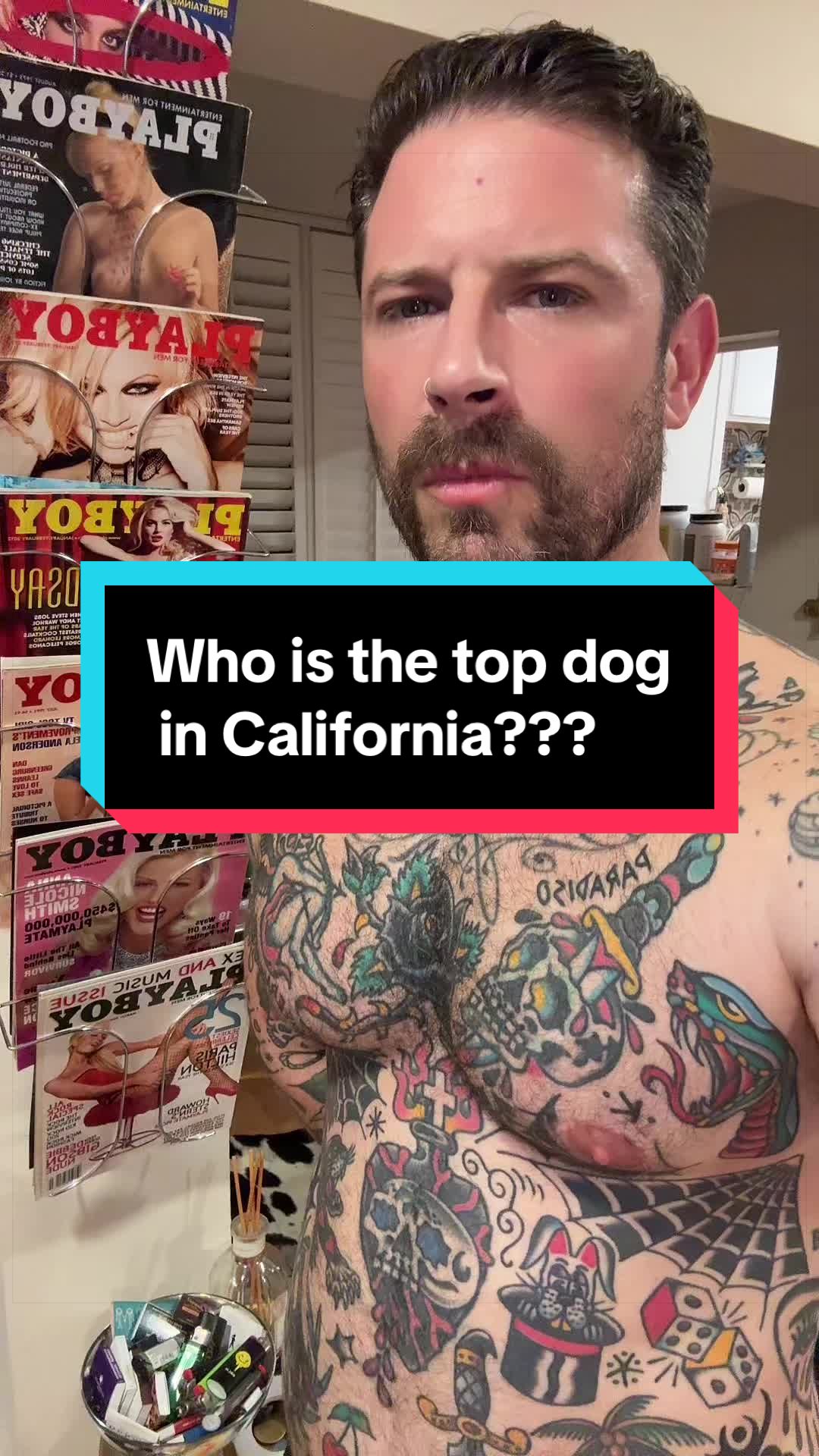 @traddpitt
