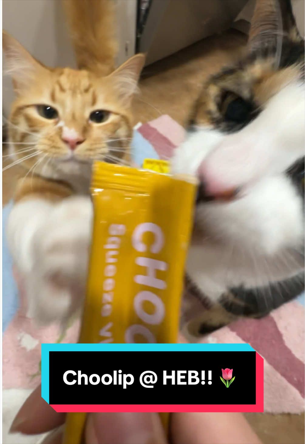 @meloncreamcat